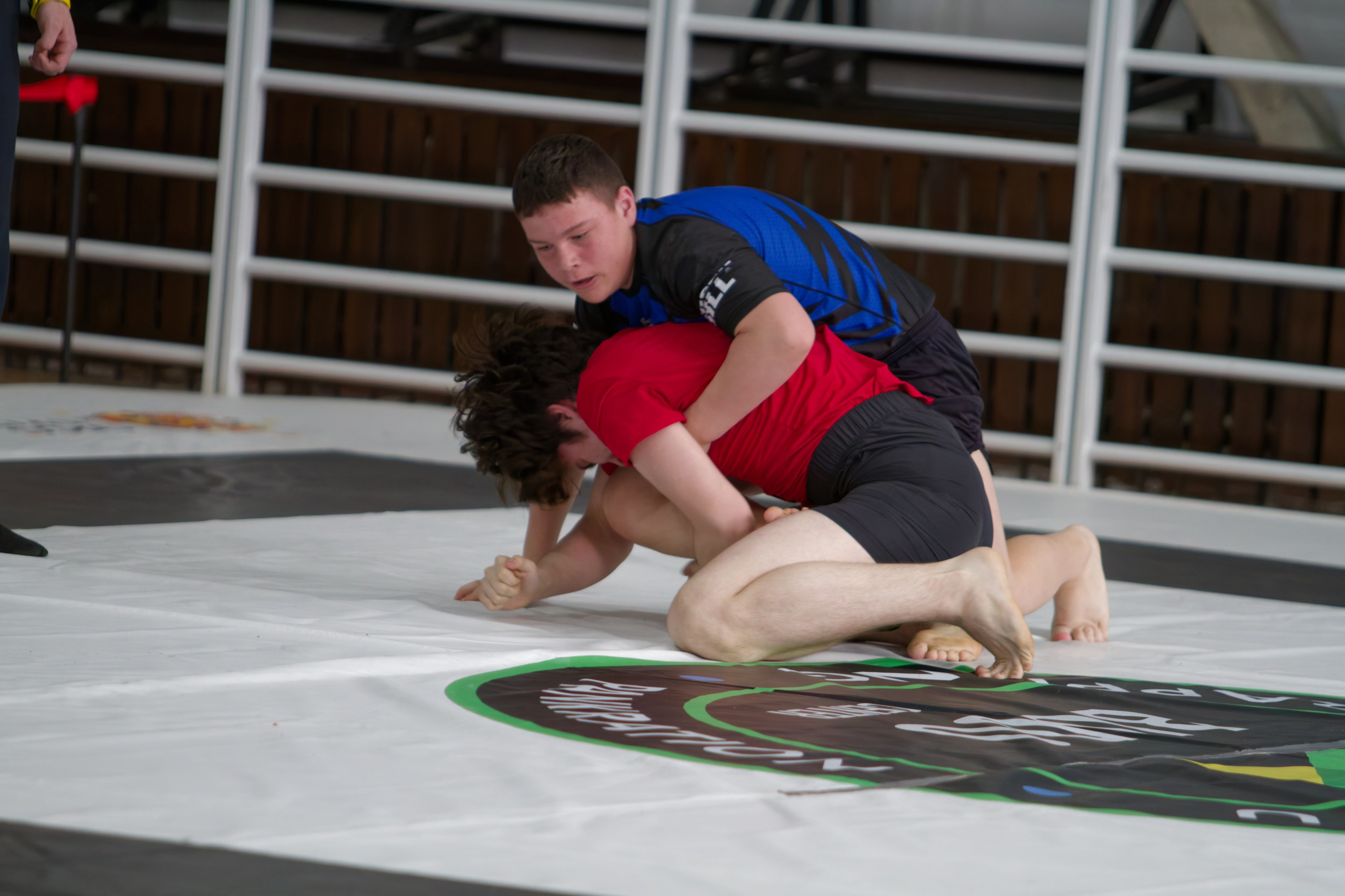 Борьба. Джиу-джитсу 26.04.2025. Репортажный и спортивный фотограф в г. Пермь Зильберг Павел