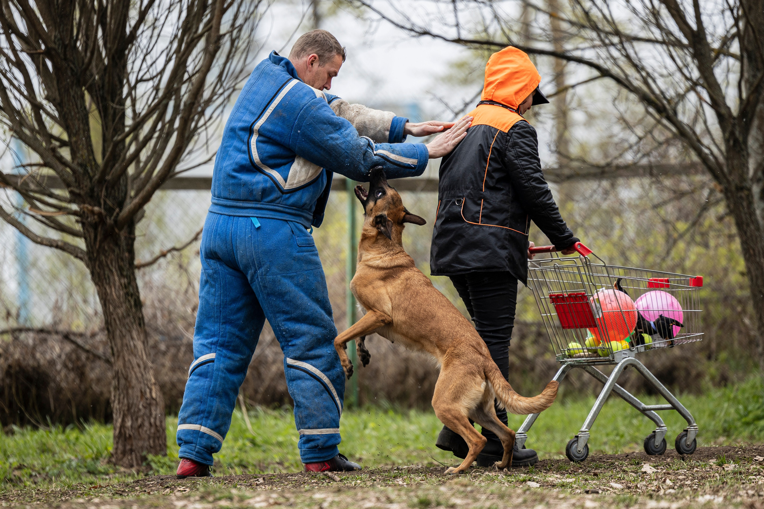 Квалификационные состязания по мондьорингу г. Вологда 11.05.24. Фотограф-анималист Анна Маринич