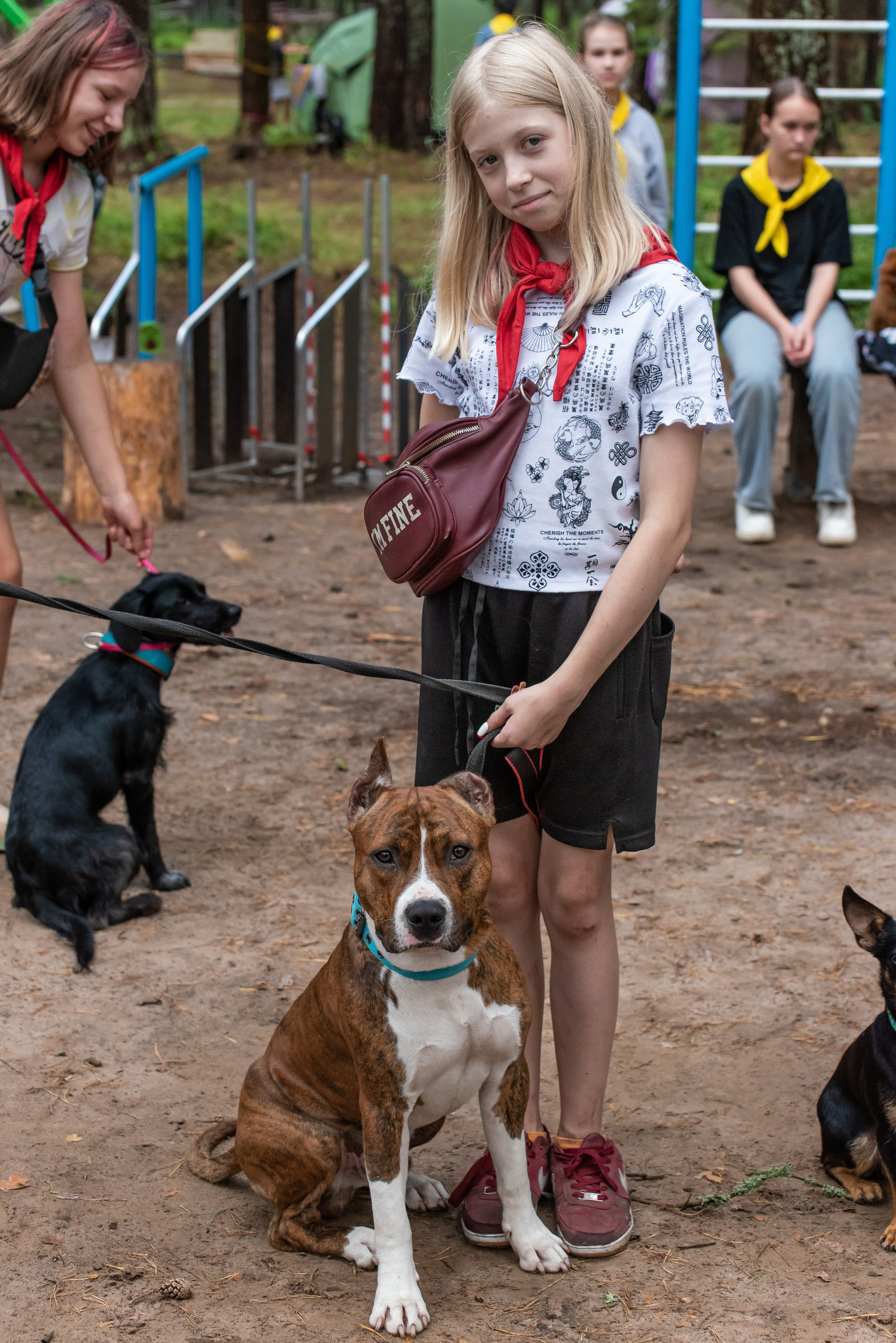 Хвостатые каникулы Детский кинологический лагерь. Фотограф Макс Огурцов в Нижнем Новгороде