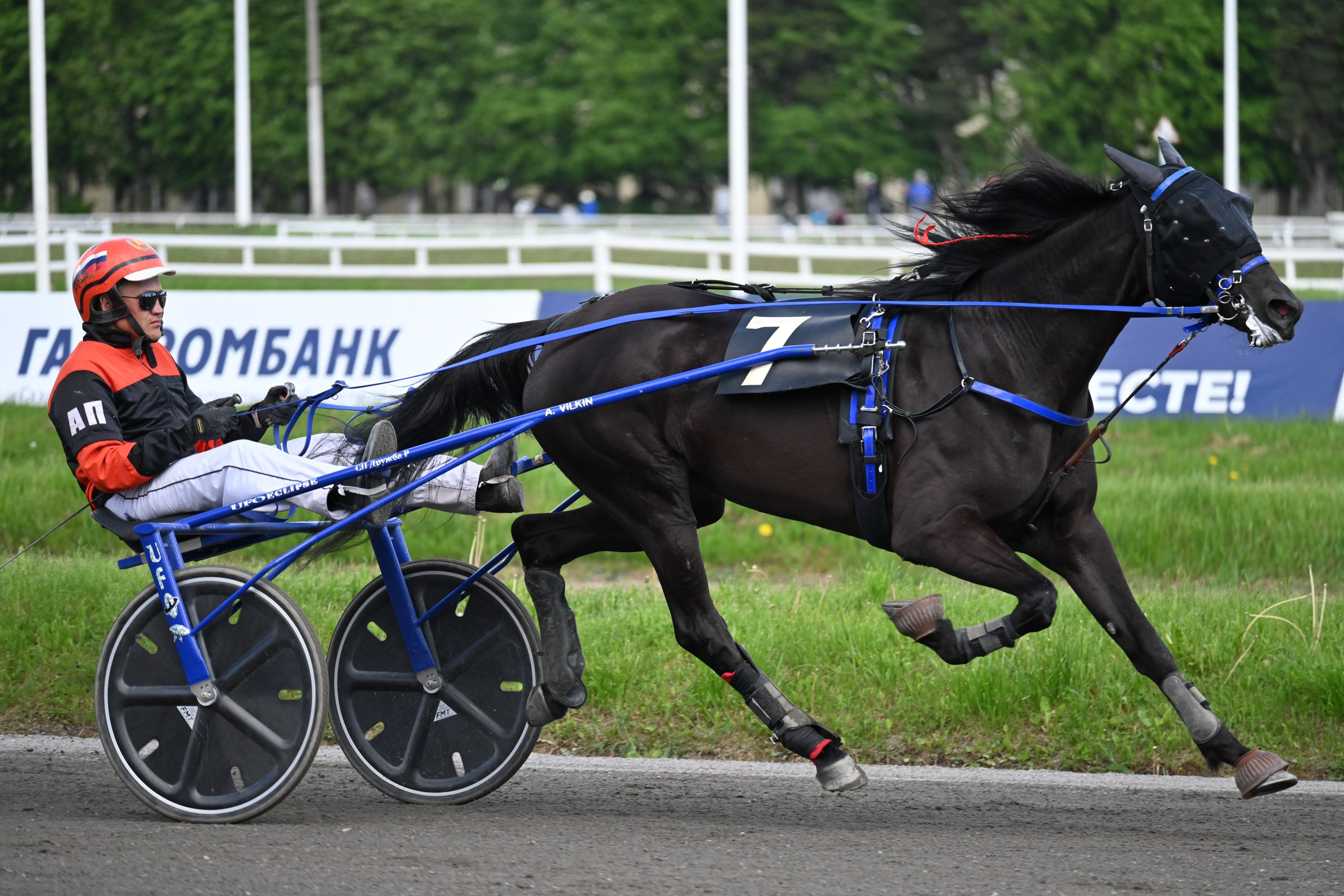 Ипподром (Москва). Fotolux