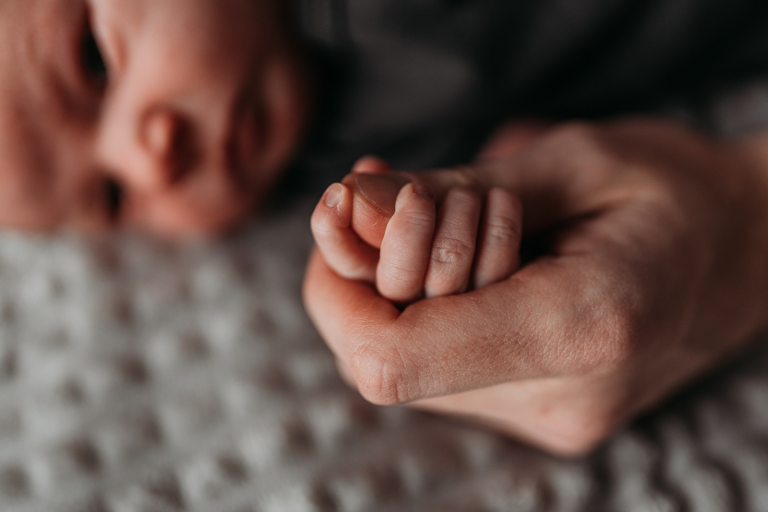 Семейный фотограф в Краснодаре