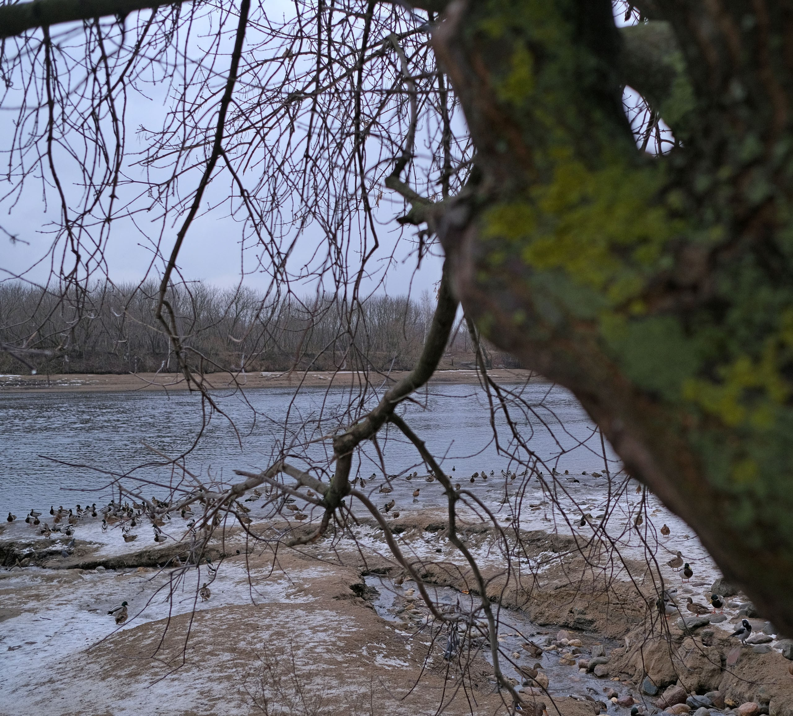 Фотоальбом с разными съёмками