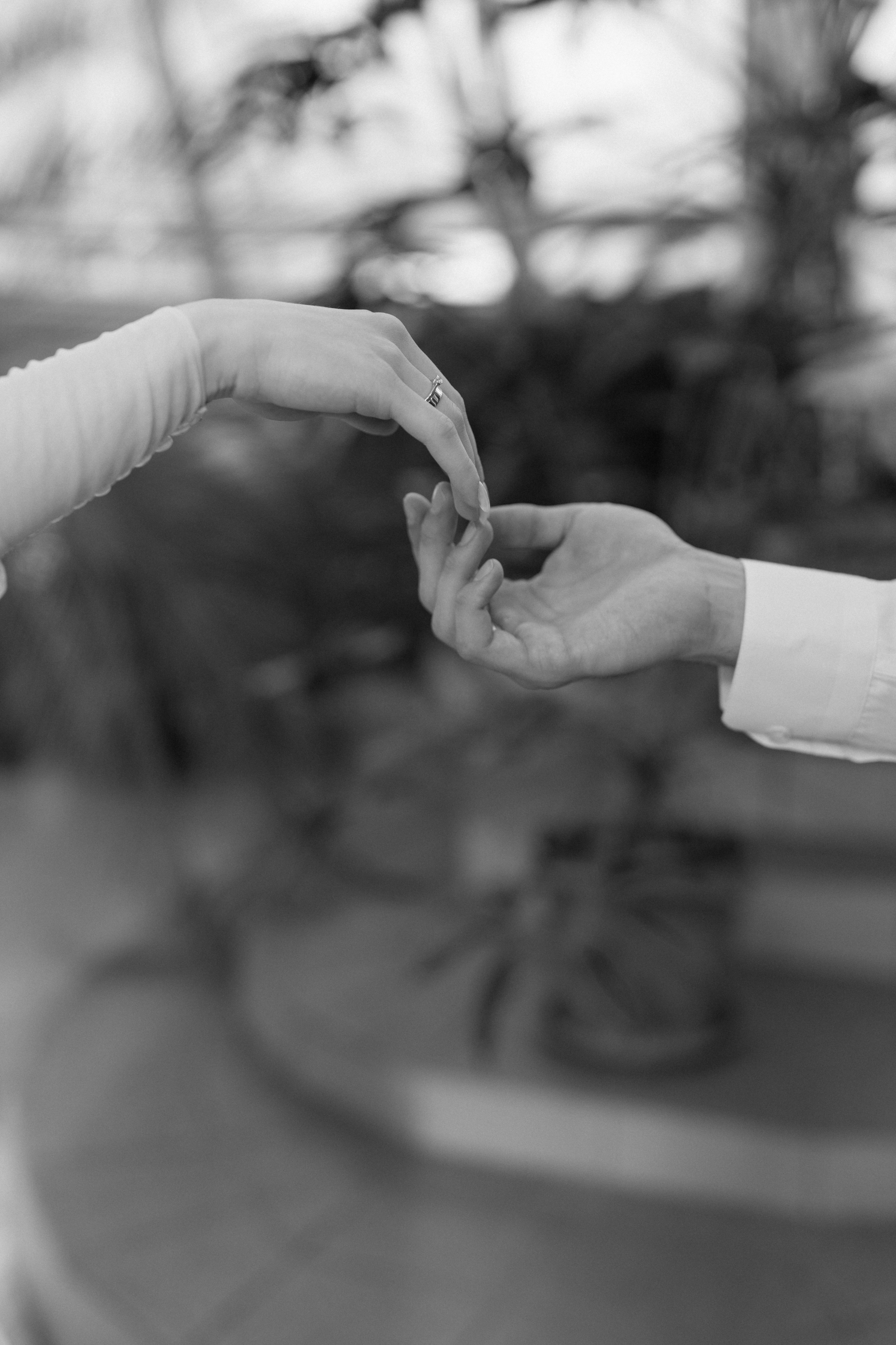 Зимняя сказка в оранжерее. Polovinka.Photo — Свадебный и семейный фотограф Минск