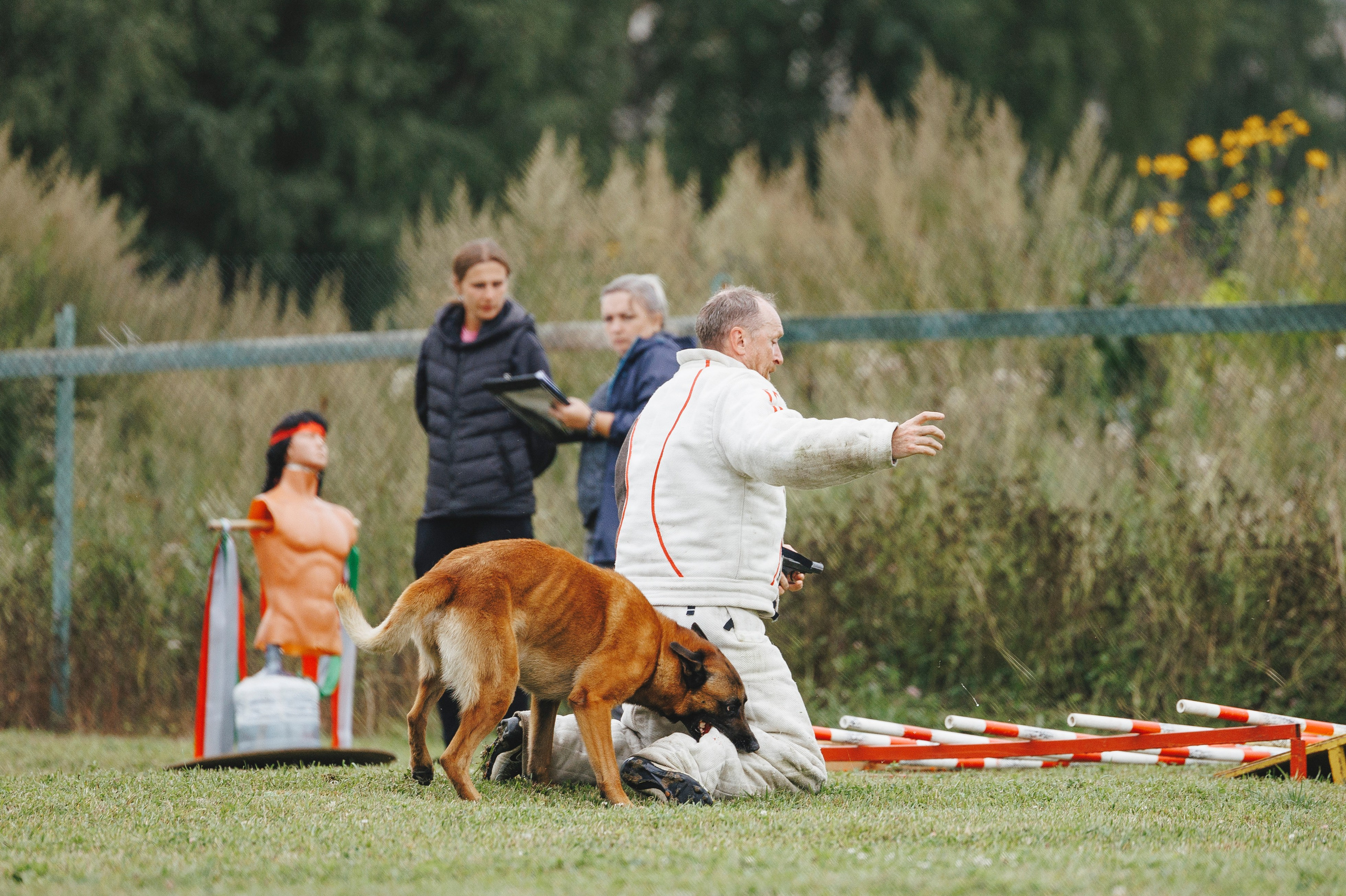 08.08.25-10.08.25 ЧР по мондьорингу г. Вологда. Фотограф-анималист Анна Маринич