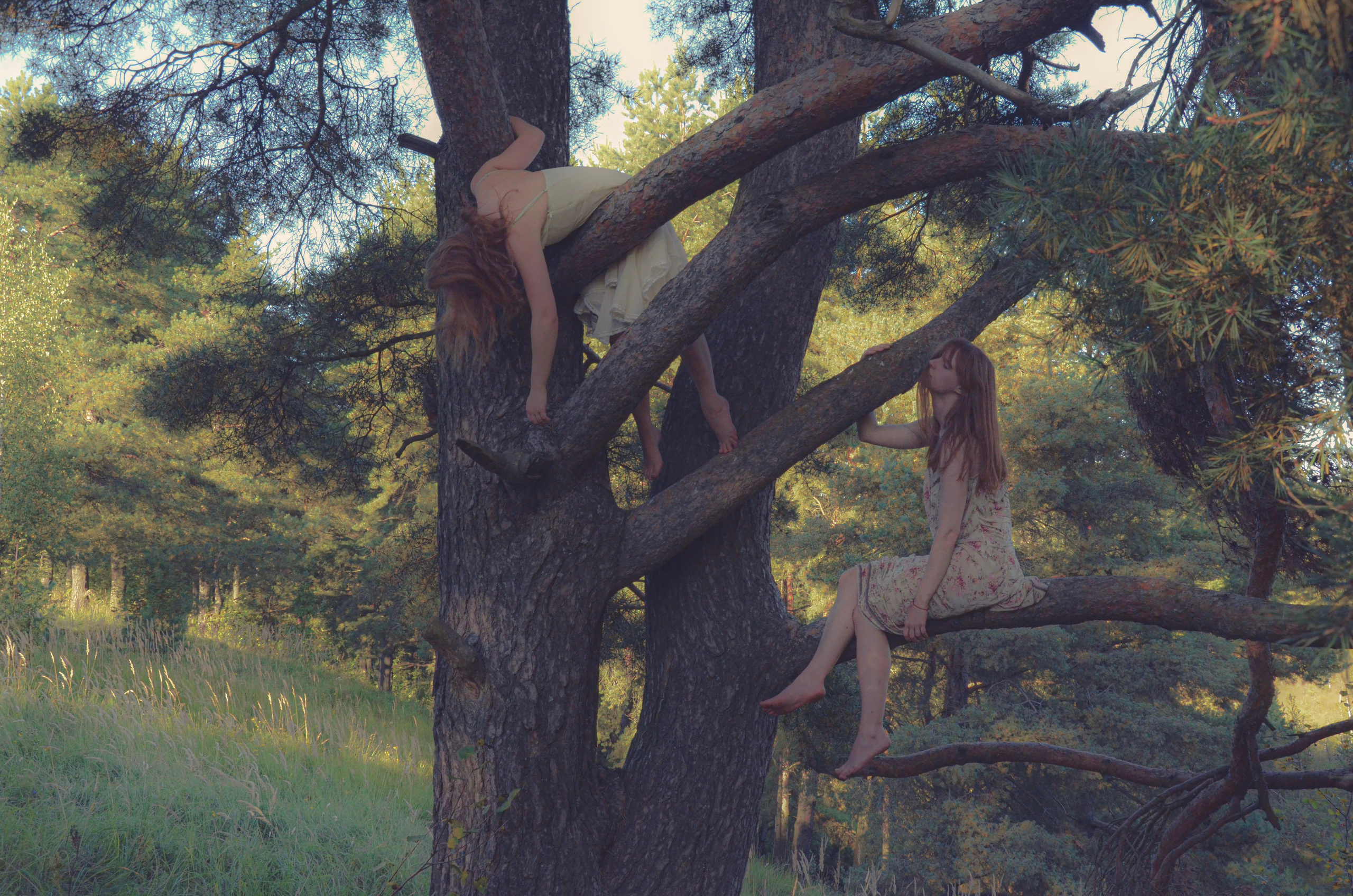 Лесное. Фотограф СПб | Лесная фотосессия