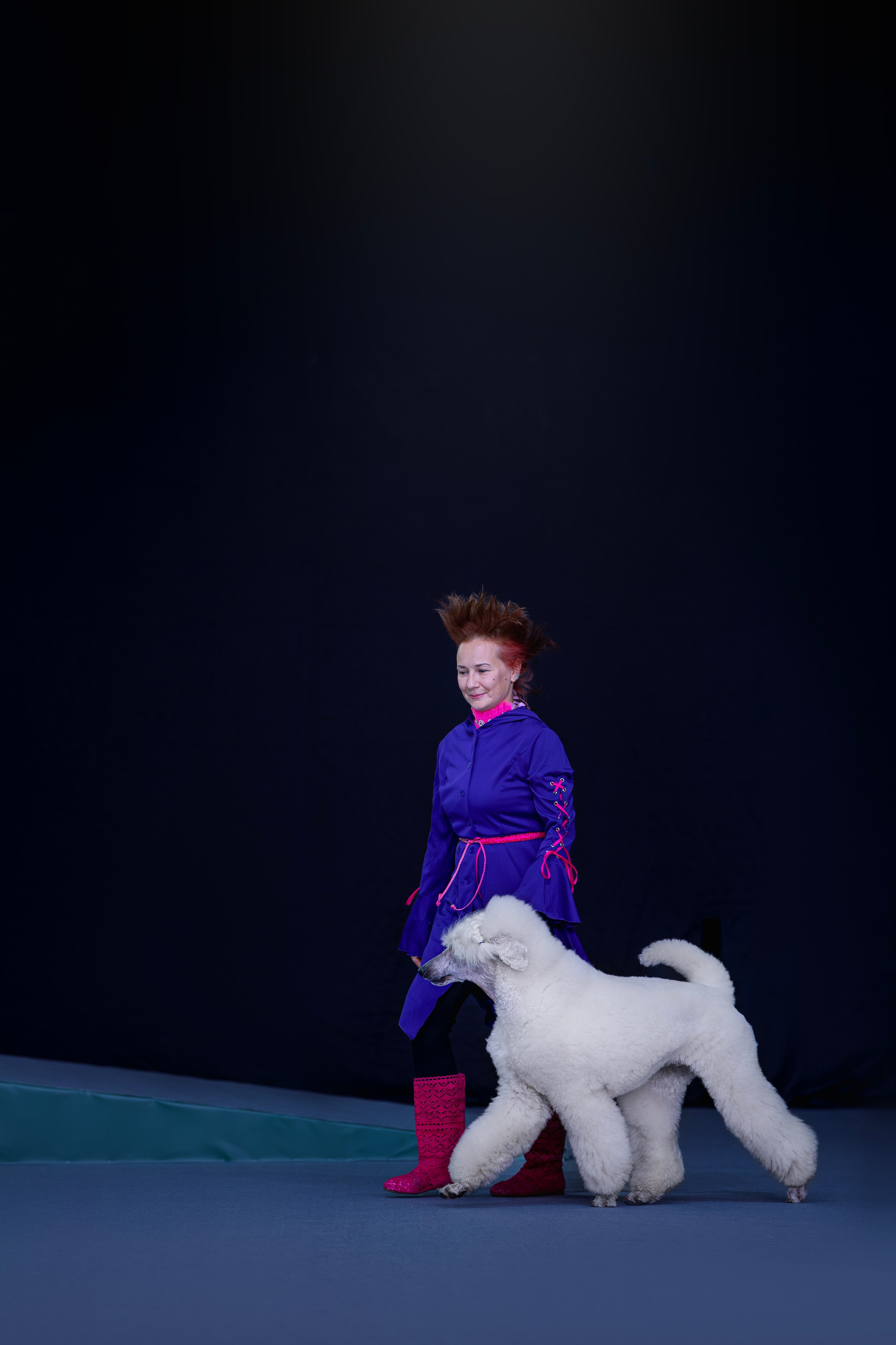 Выставки. Фотограф анималист в Москве Майорова Евгения