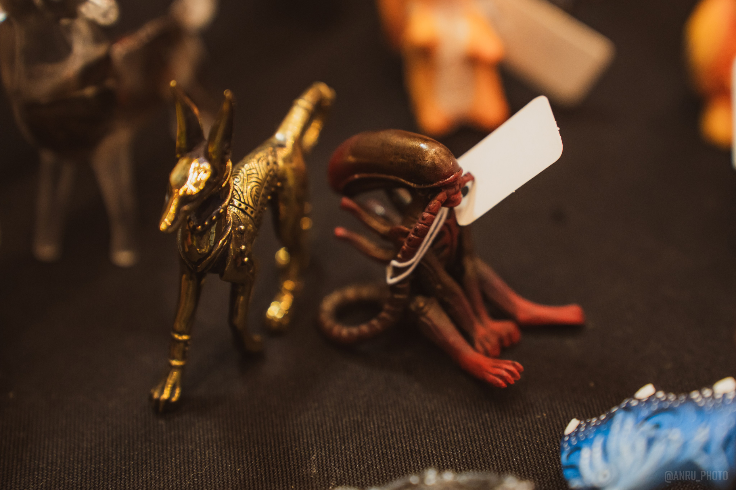 Fox Family fest. Репортажный фотограф Анастасия Рубцова