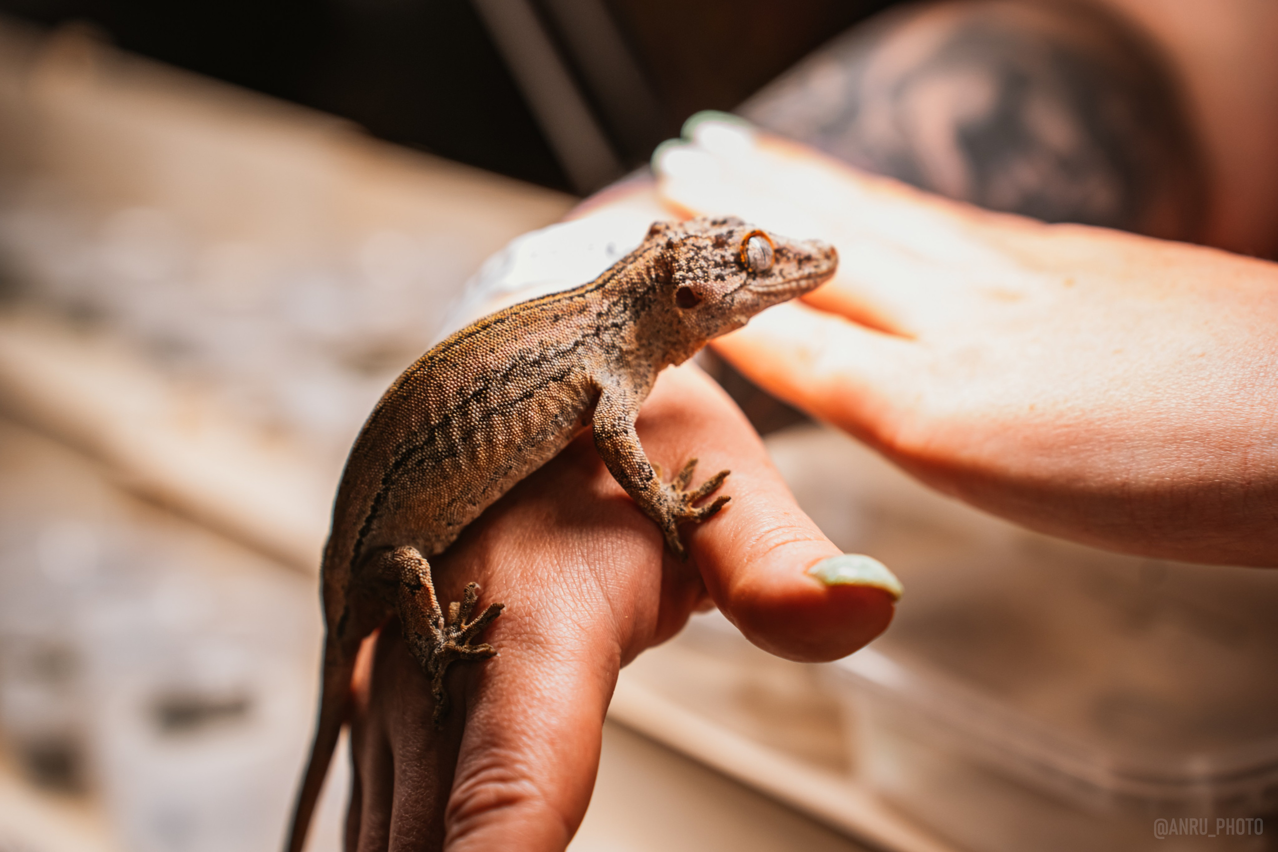 Рептилиум. Репортажный фотограф Анастасия Рубцова