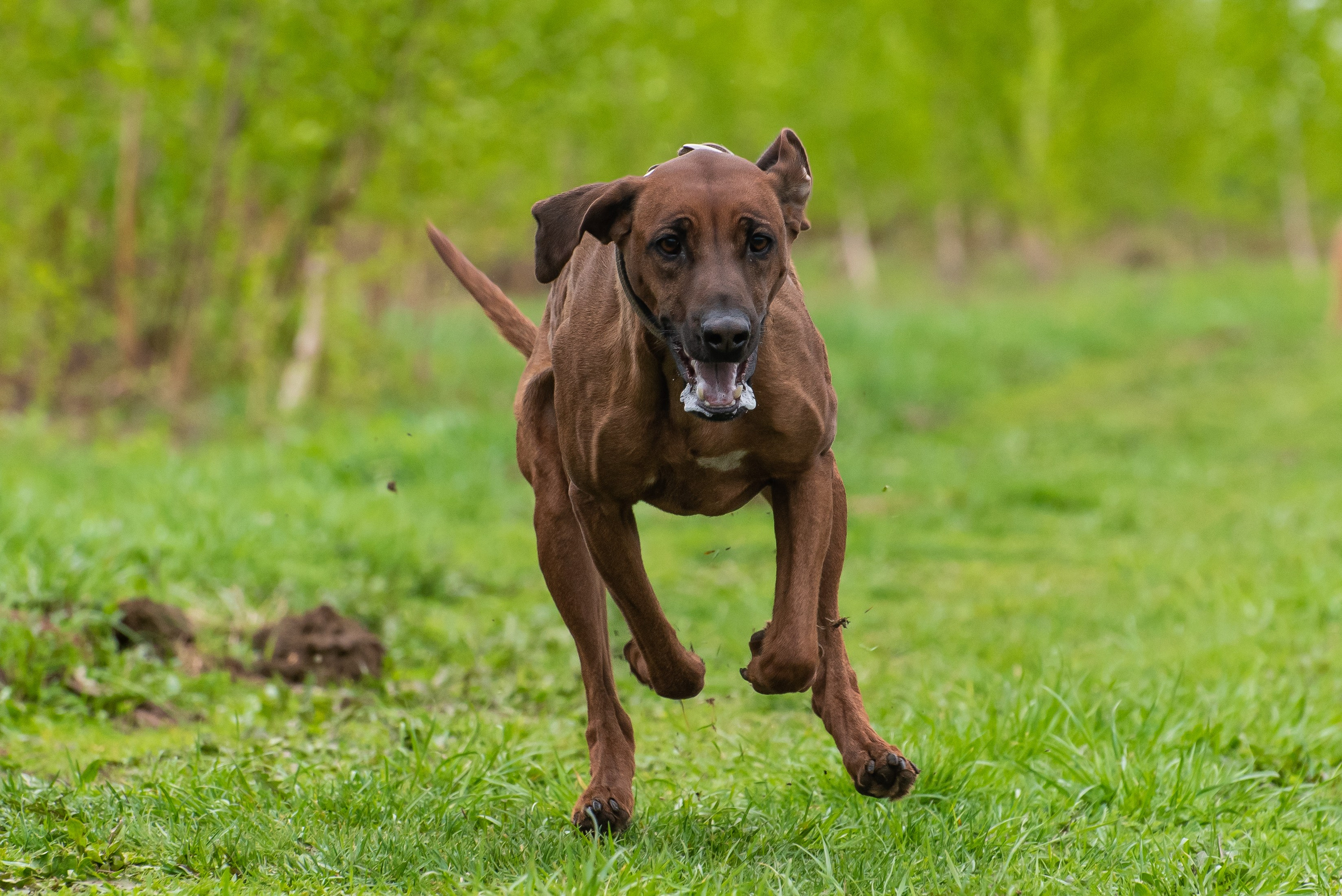 Фотографии с Курсинга. Фотограф Макс Огурцов в Нижнем Новгороде
