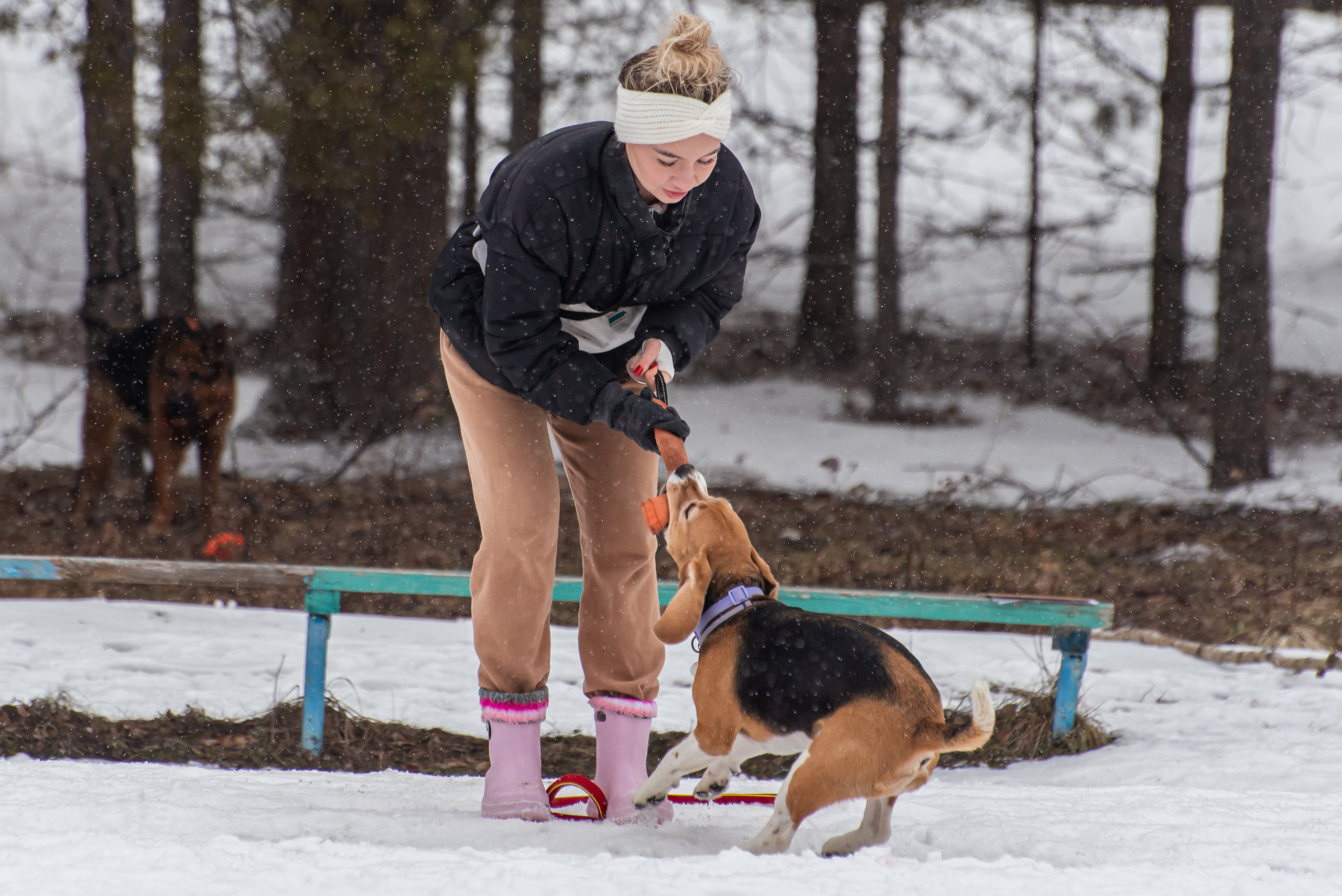 Фотосъёмка с собаками в Кинологическом лагере. Фотограф Макс Огурцов в Нижнем Новгороде