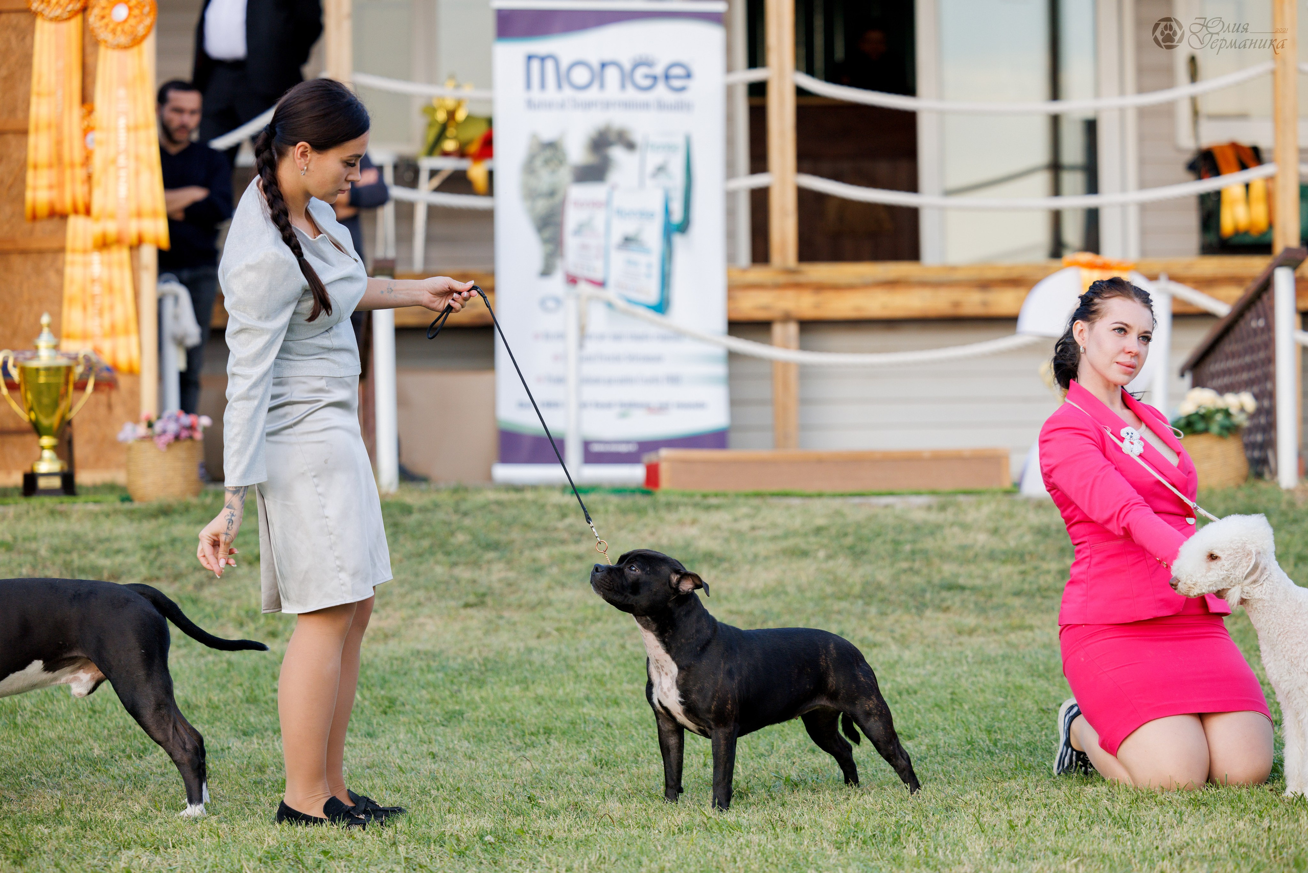 Грузия,Телави 2хCACIB 19-20.10.2024. Фотограф-анималист Юлия Германика