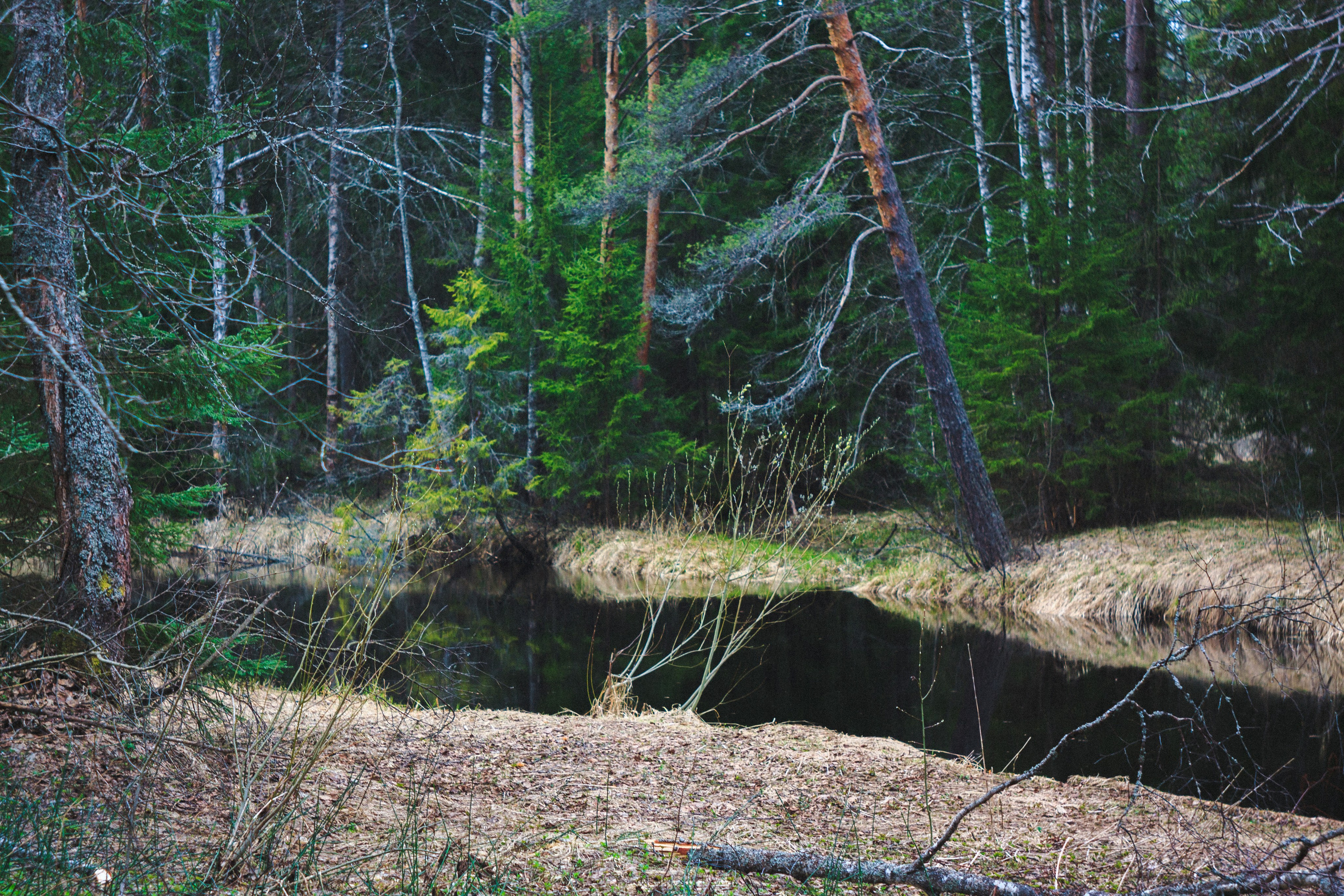 Деревня. Den Mirov — Photographer, Musician
