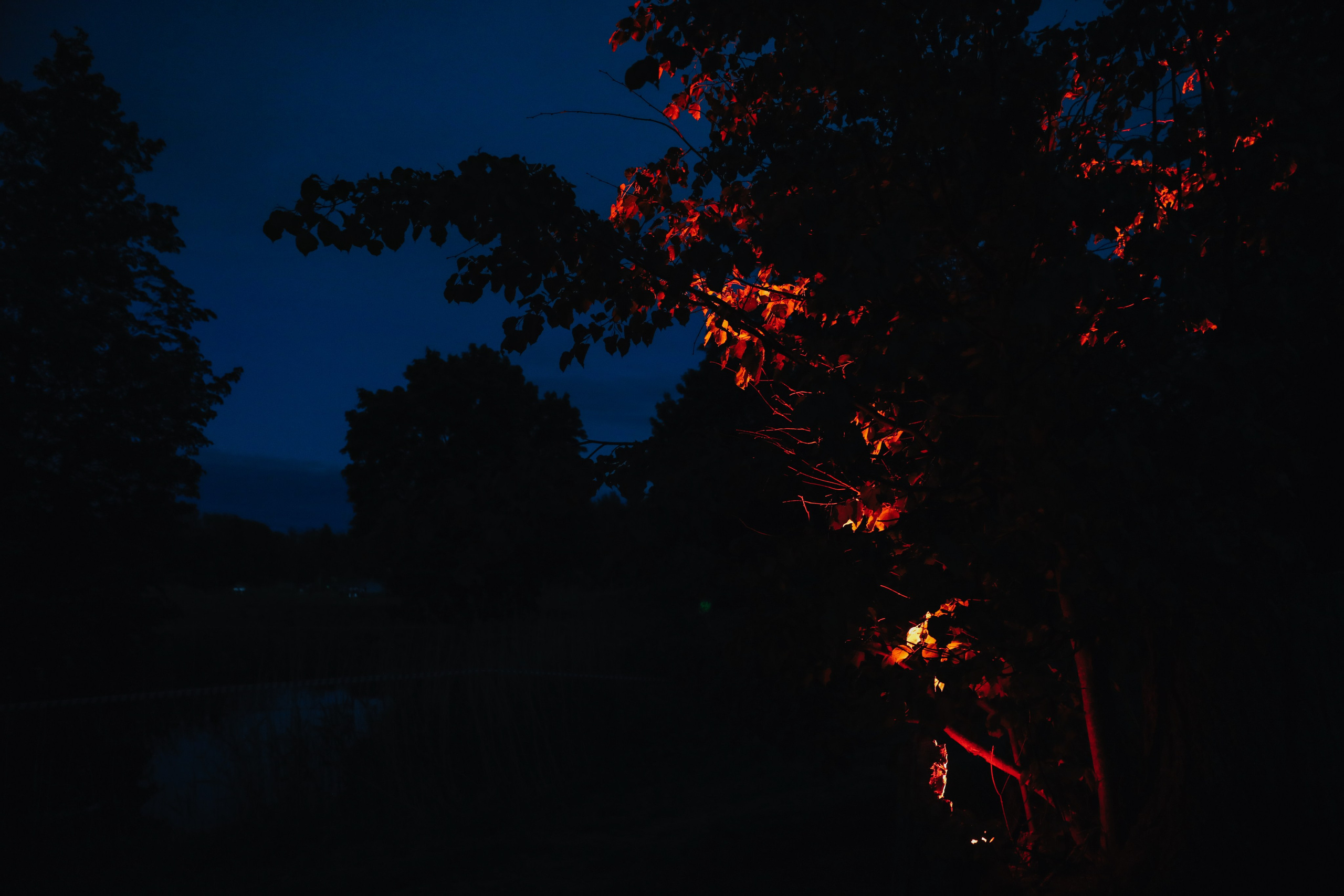 Иммерсивное шоу «Пушкин.Суйда» 2023. Свадебный и репортажный фотограф в Санкт-Петербурге