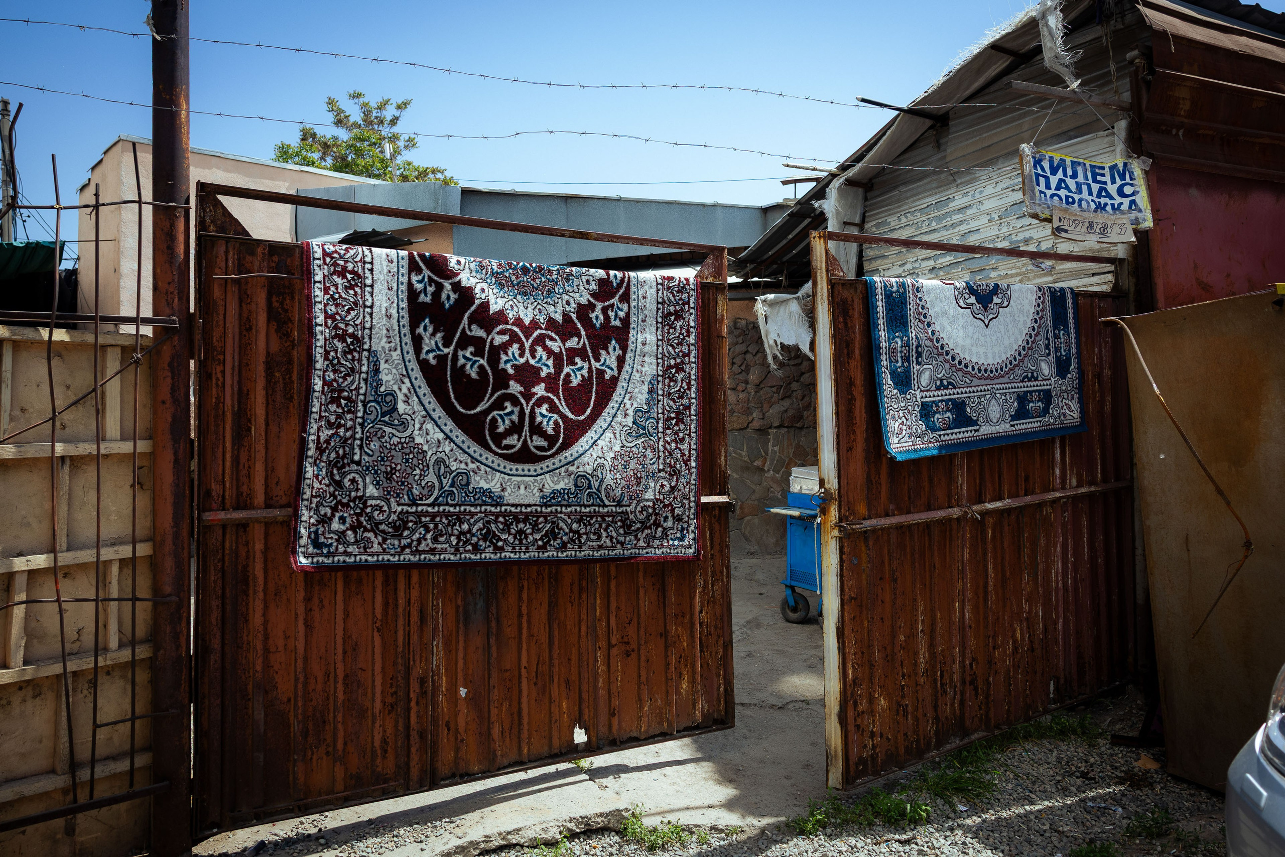 Кыргызстан (весна 2025). Фотограф Виноградов Константин