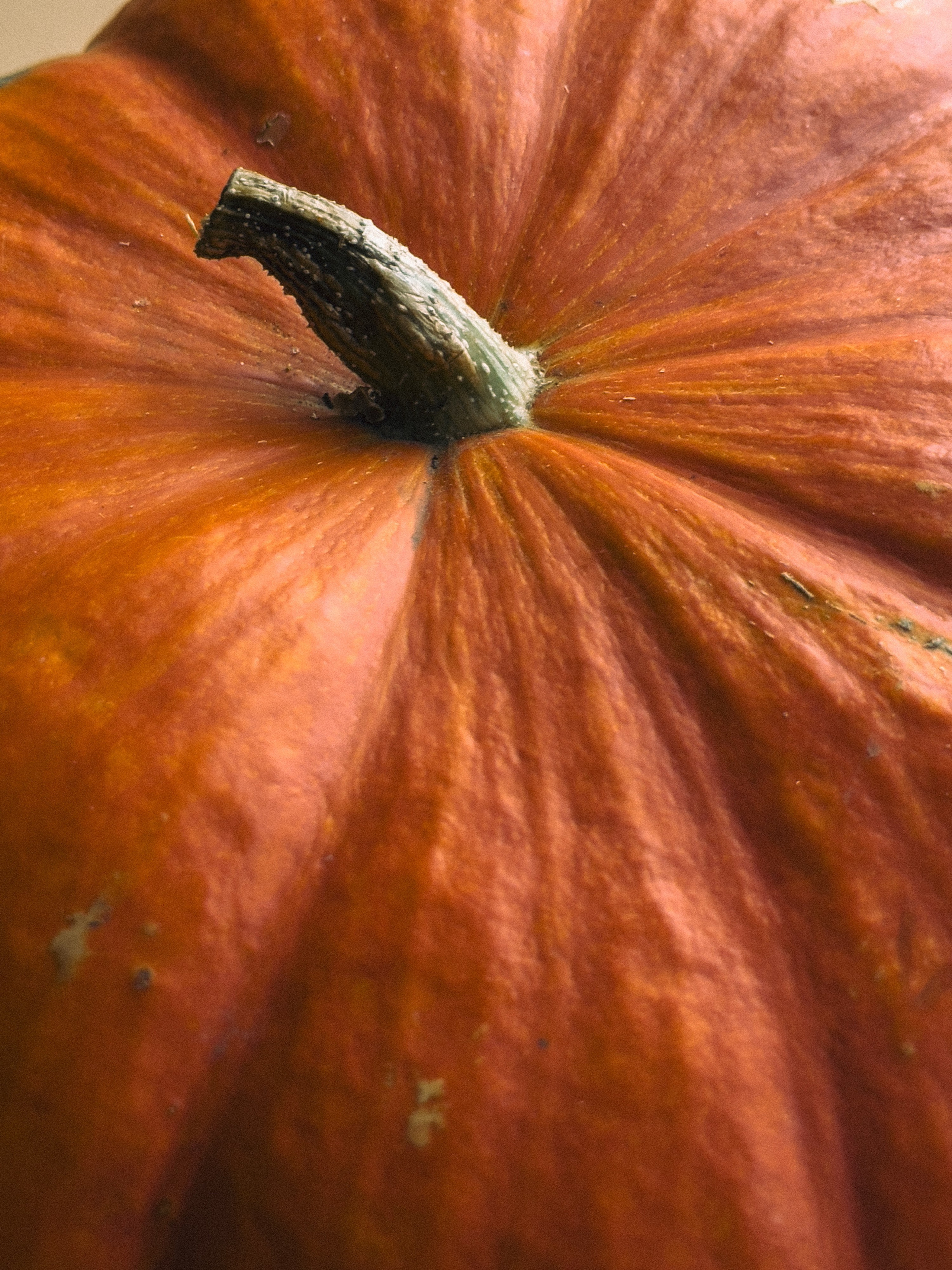 Предметная съёмка. Чувственный мобильный фотограф в Казани и Сочи Дьяченко Дарья