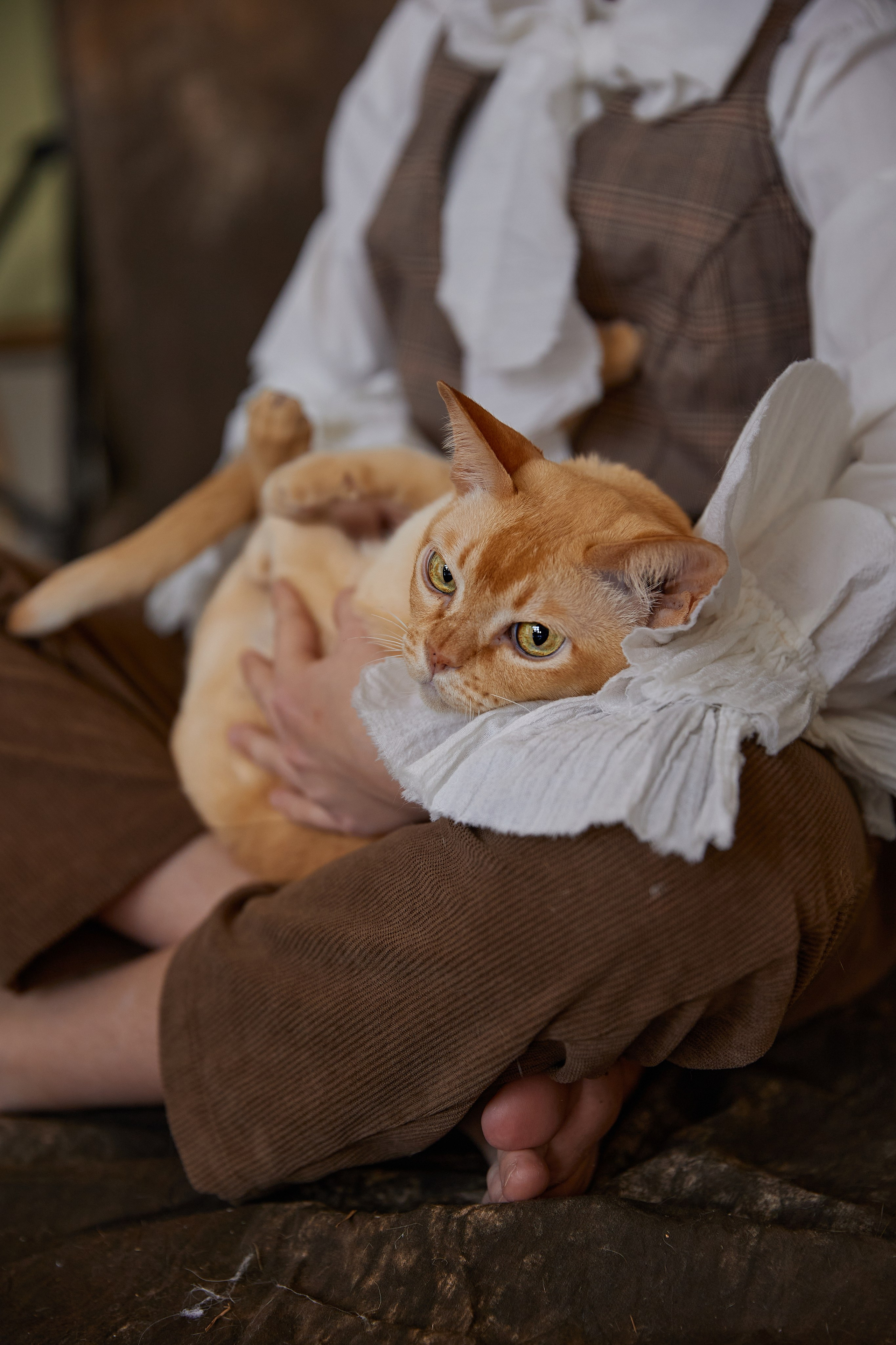 Полина. Фотограф женского портрета, беременности и материнства Харькова Елена