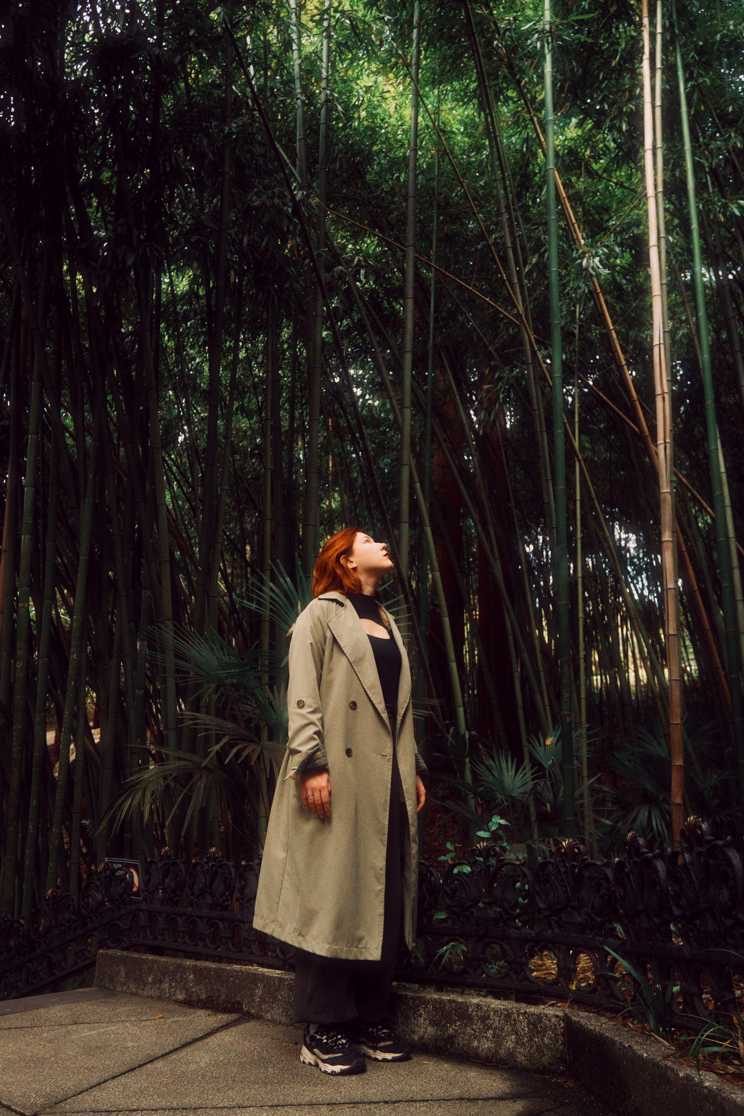 Сочи, дендрарий