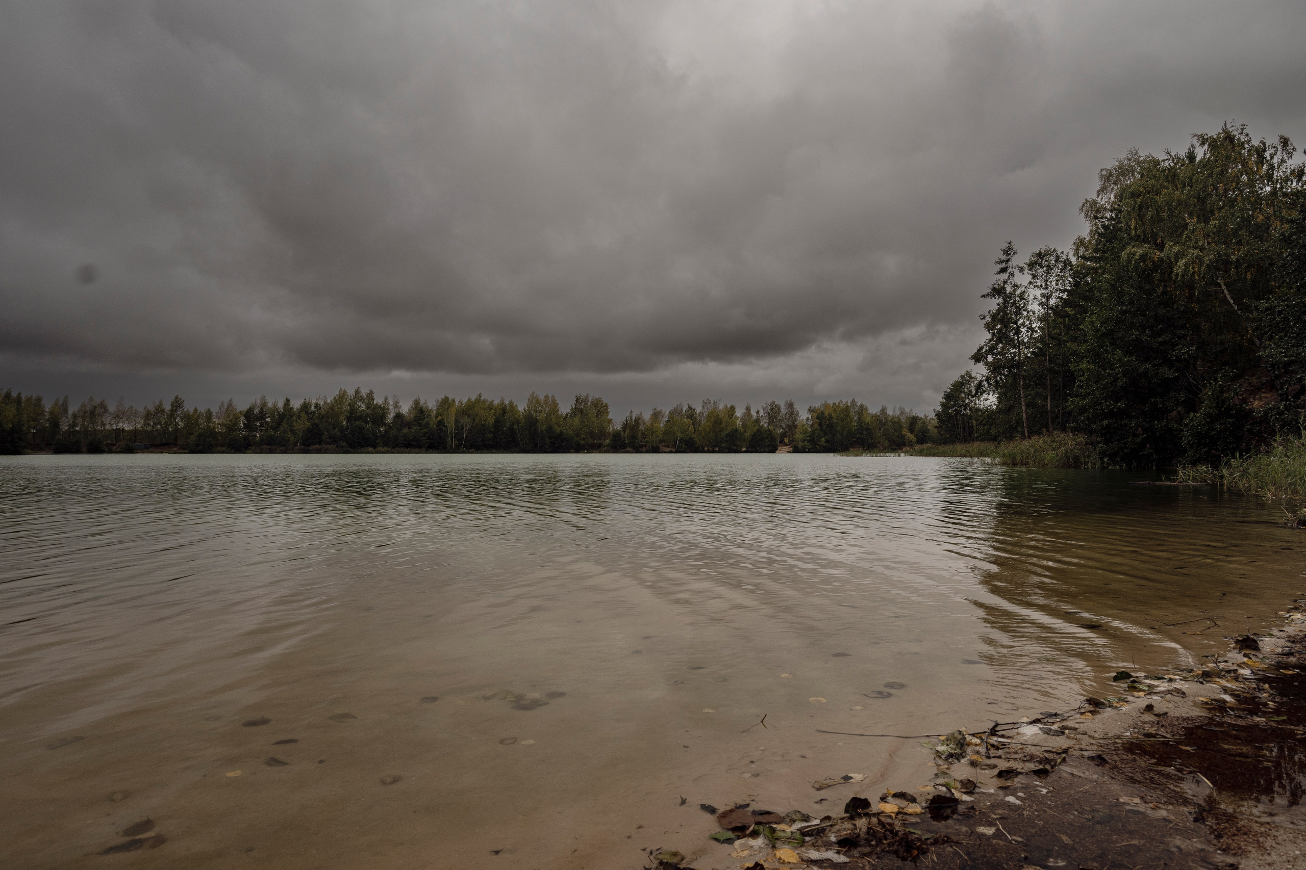 Фотопрогулка ДР. Фотограф Роман Адлер