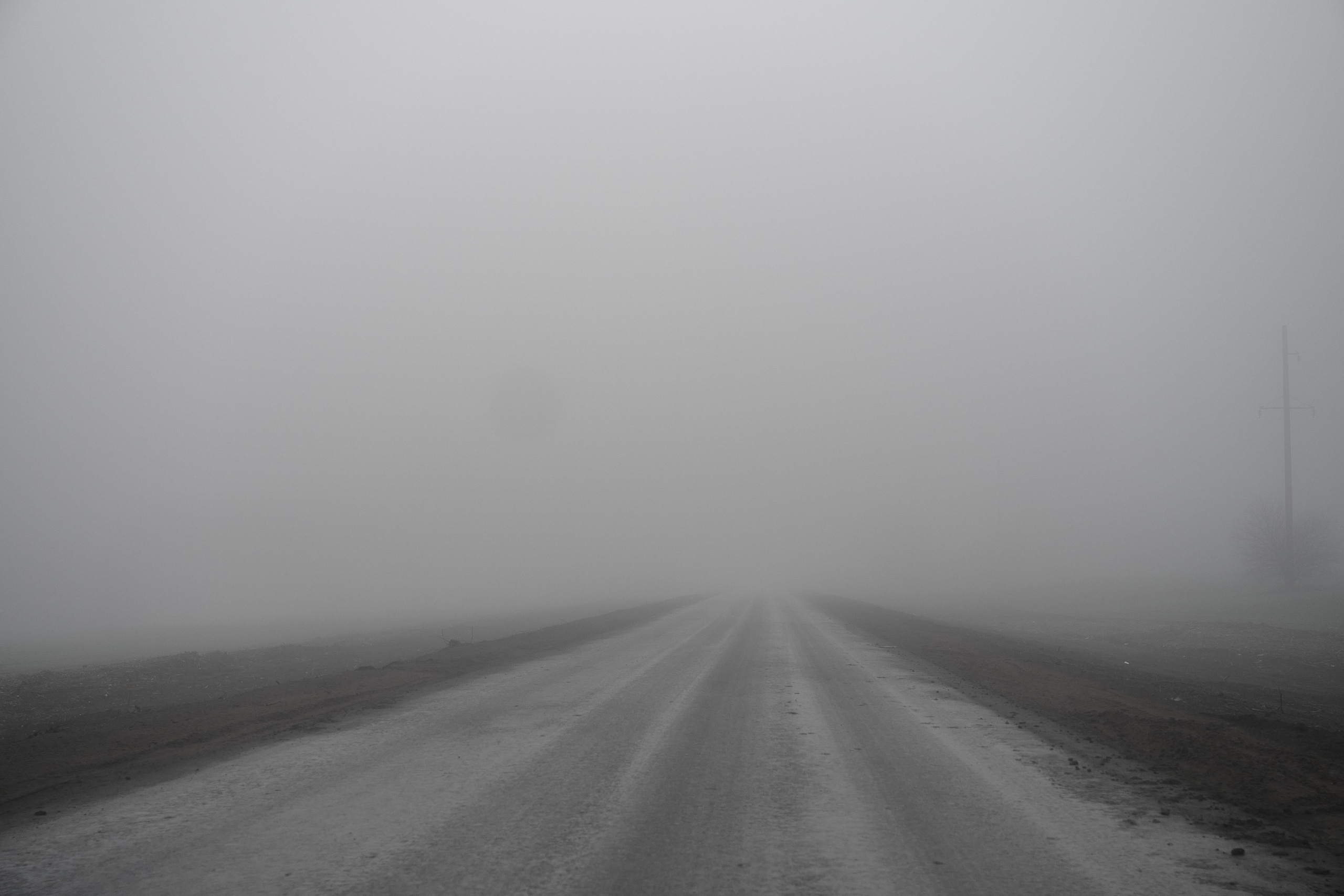 Дорога домой. Туман. Фотограф Роман Адлер
