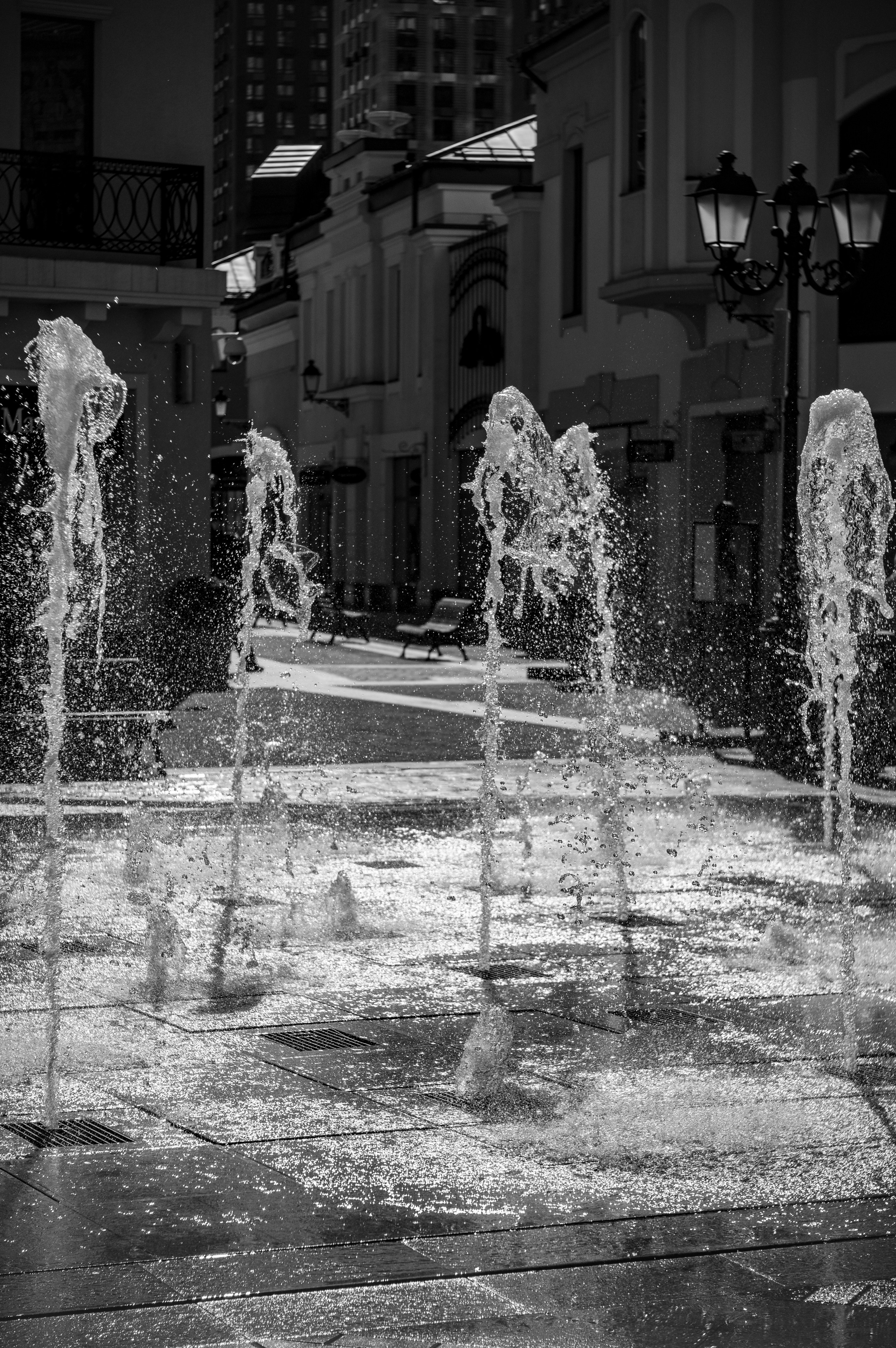 Фотопрогулка апрель 2022. Фотограф Роман Адлер