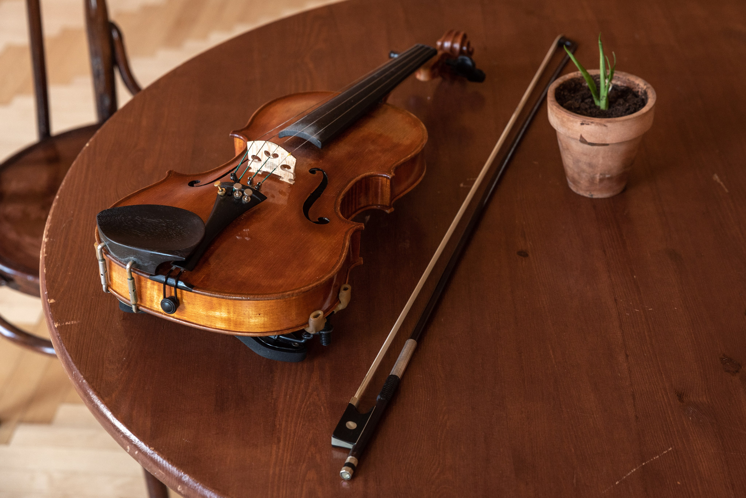 Стол, на столе лежит скрипка, смычок и стоит горшок с растением.