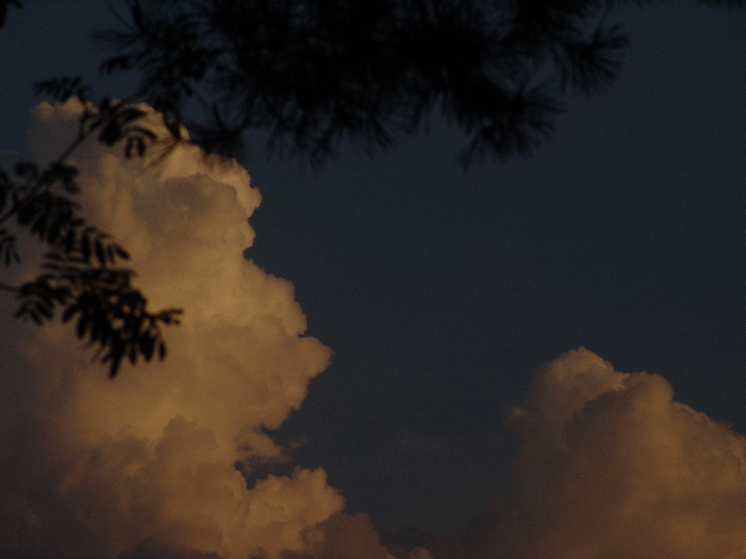 Приезд КС 2005. Заставка