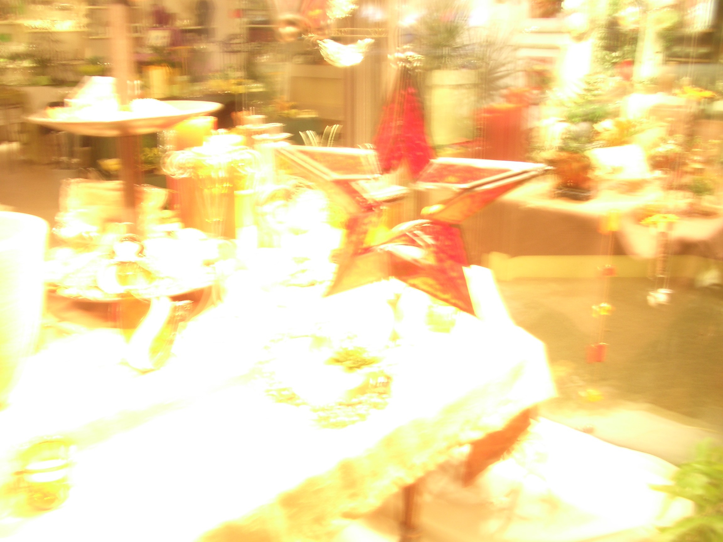 Вериченко лыжи 2004. Заставка