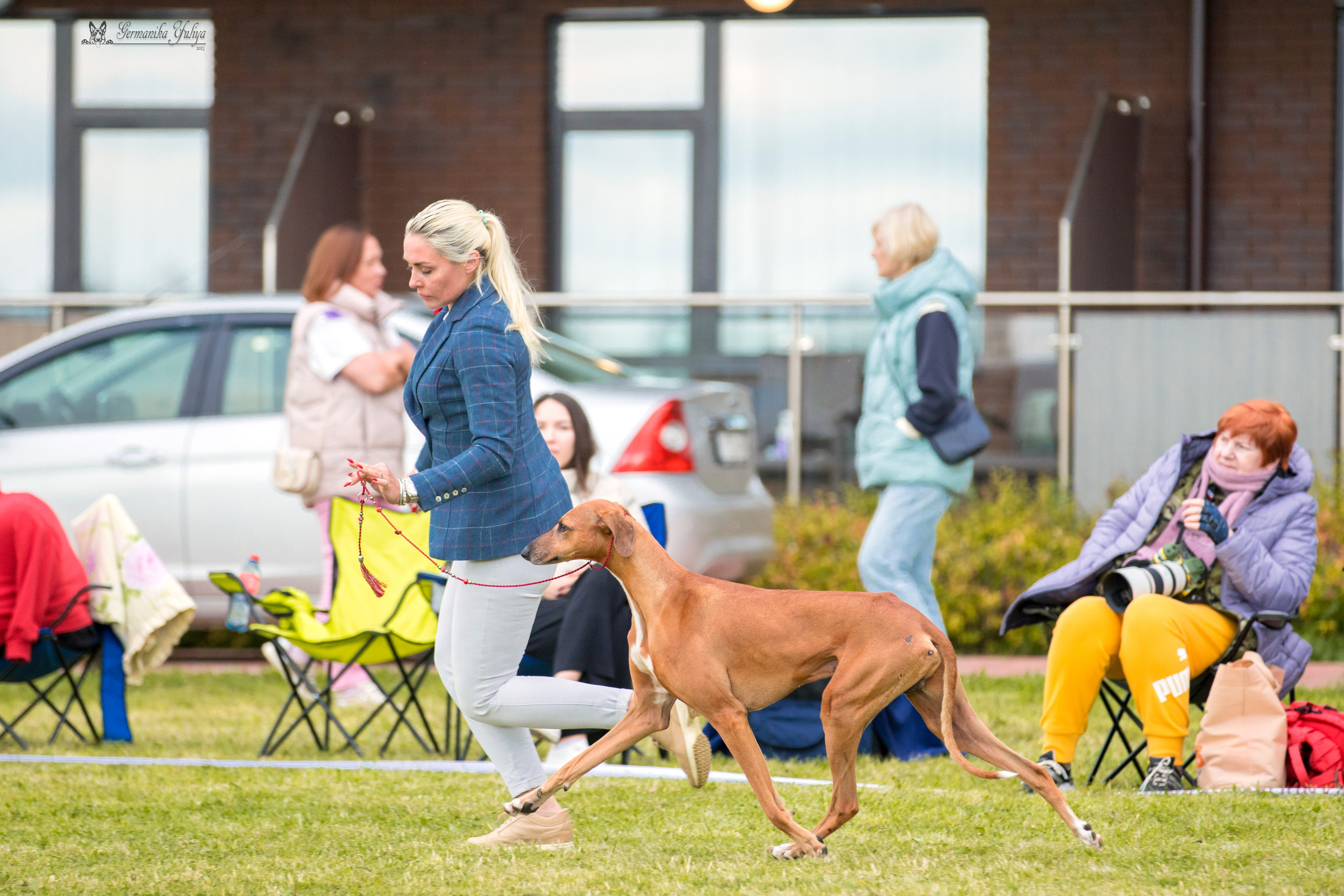 Переславль 9-10.09.2023. Фотограф-анималист Юлия Германика