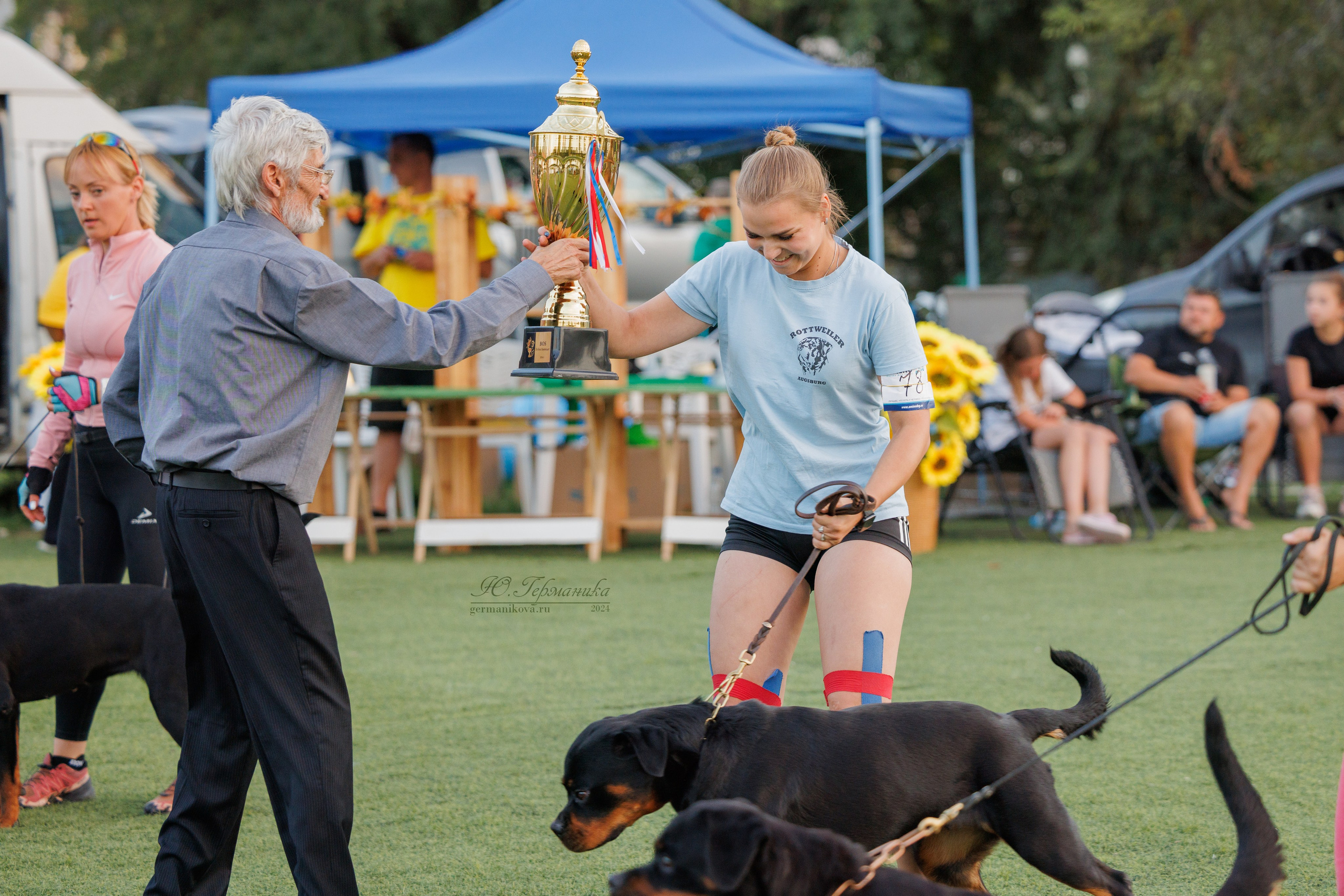 Анапа ротвейлеры 14-15.09.2024. Фотограф-анималист Юлия Германика