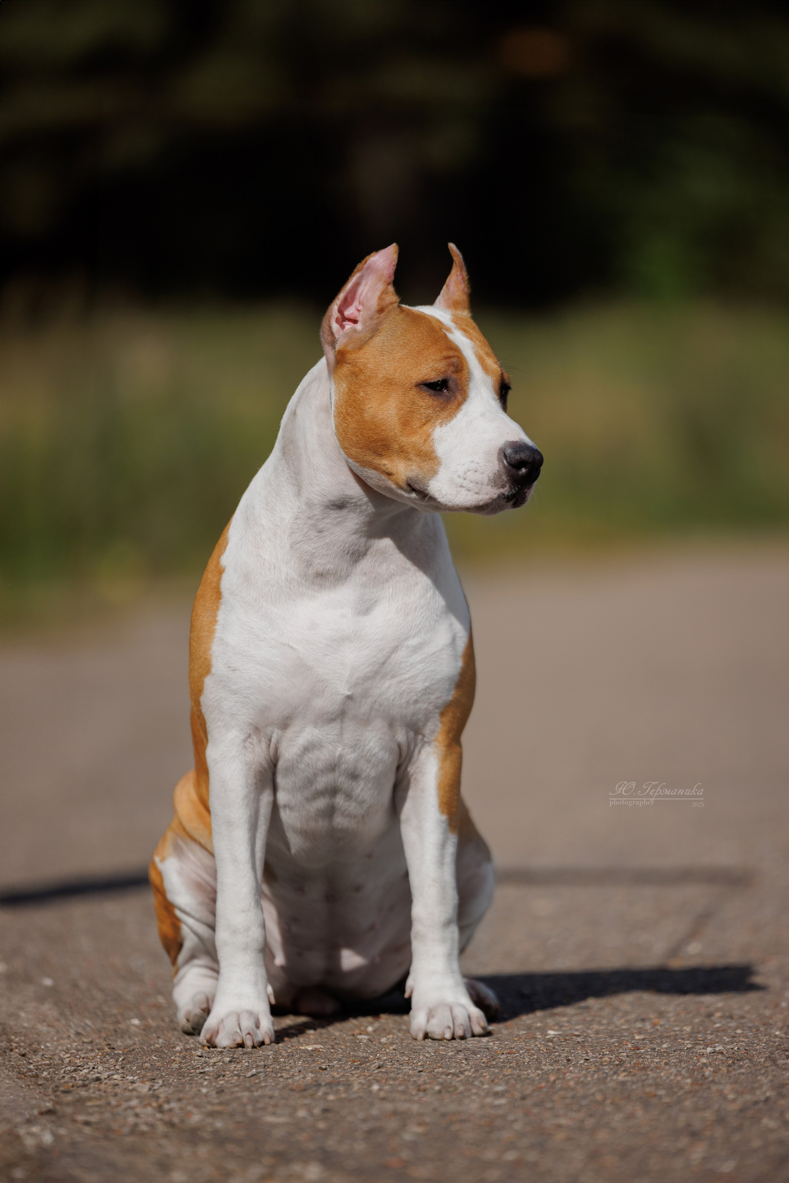 Зеленоград 13.09.2025. Фотограф-анималист Юлия Германика