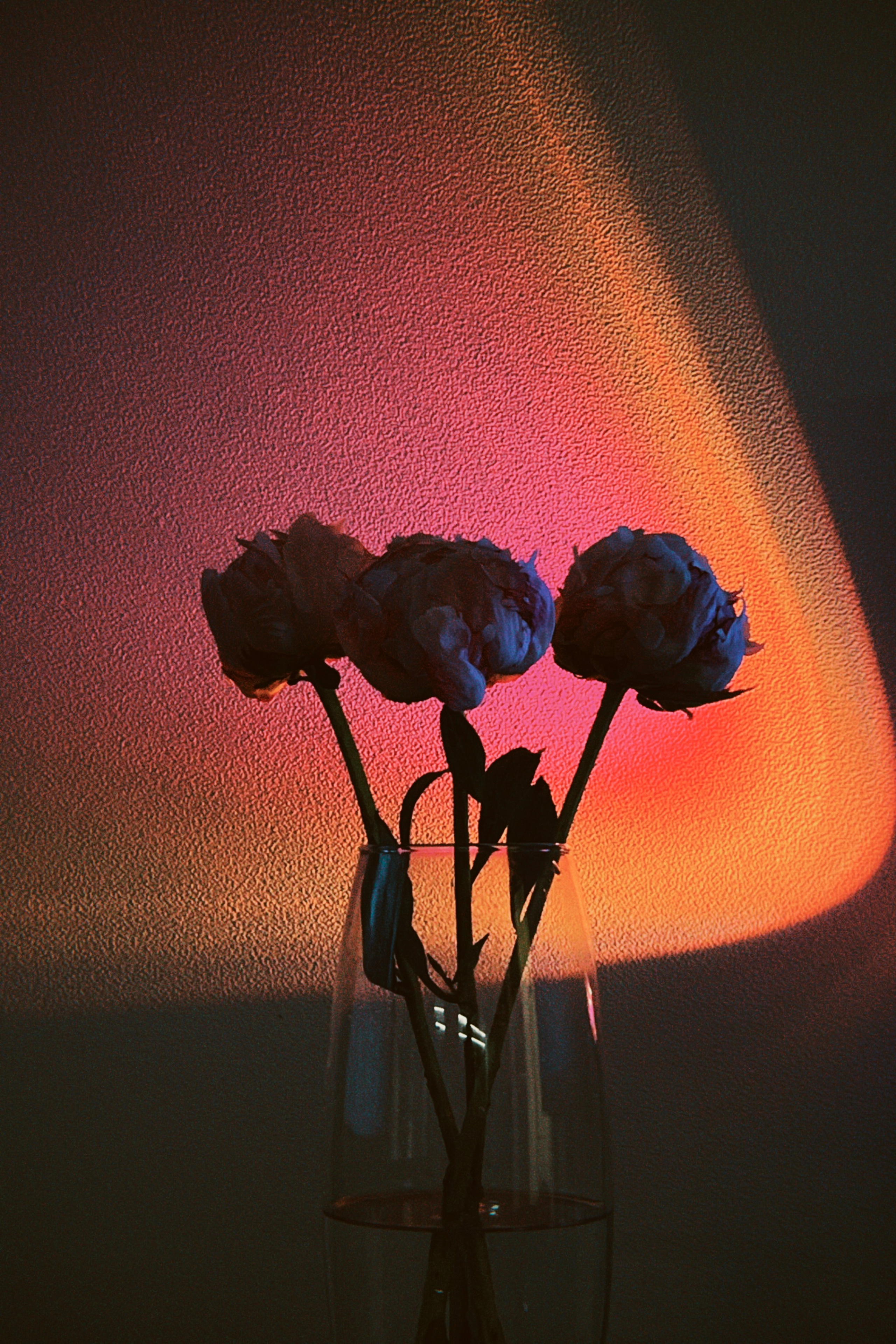 Визуальный дневник. Портретный фотограф в Москве Гахраманова Екатерина