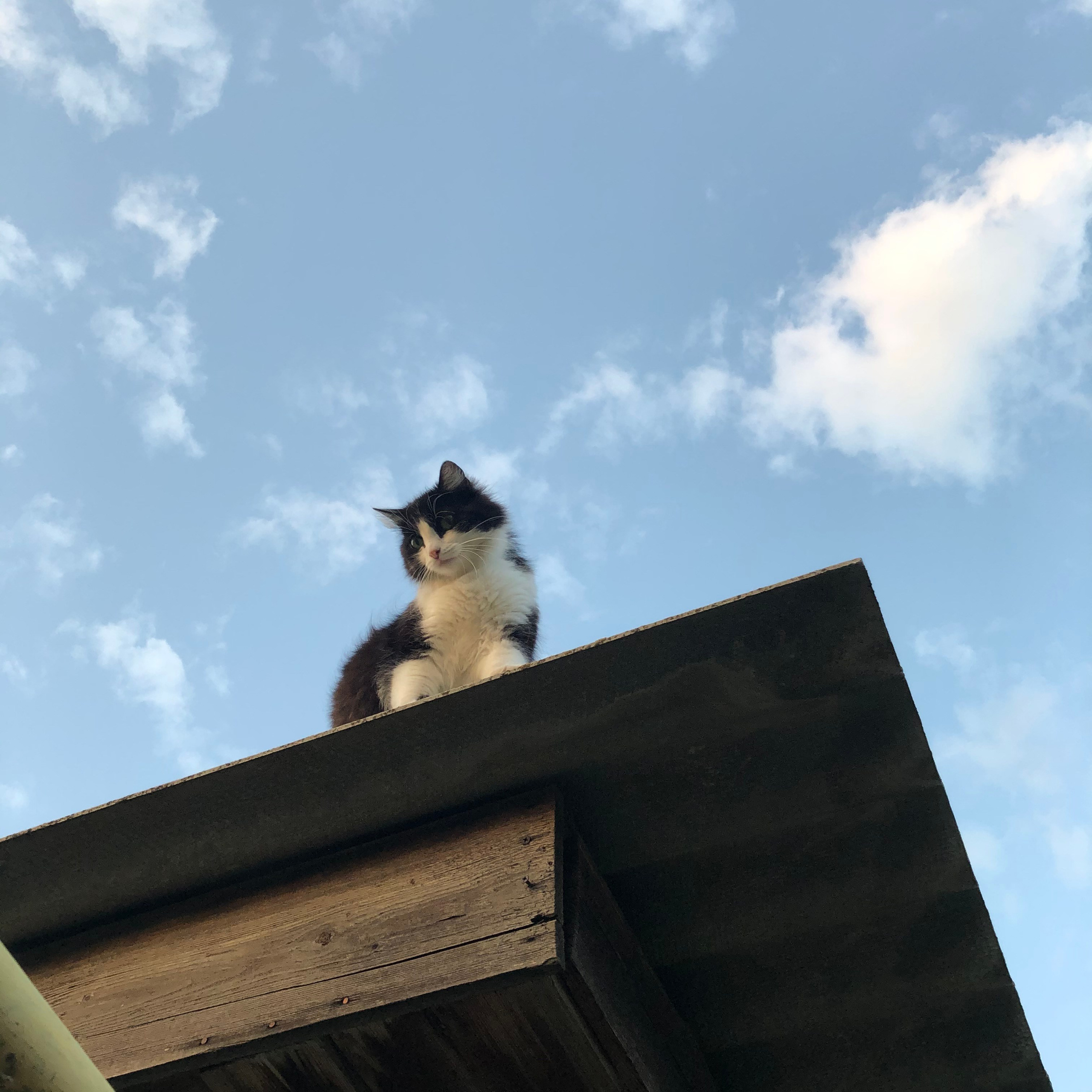 Визуальный дневник. Портретный фотограф в Москве Гахраманова Екатерина