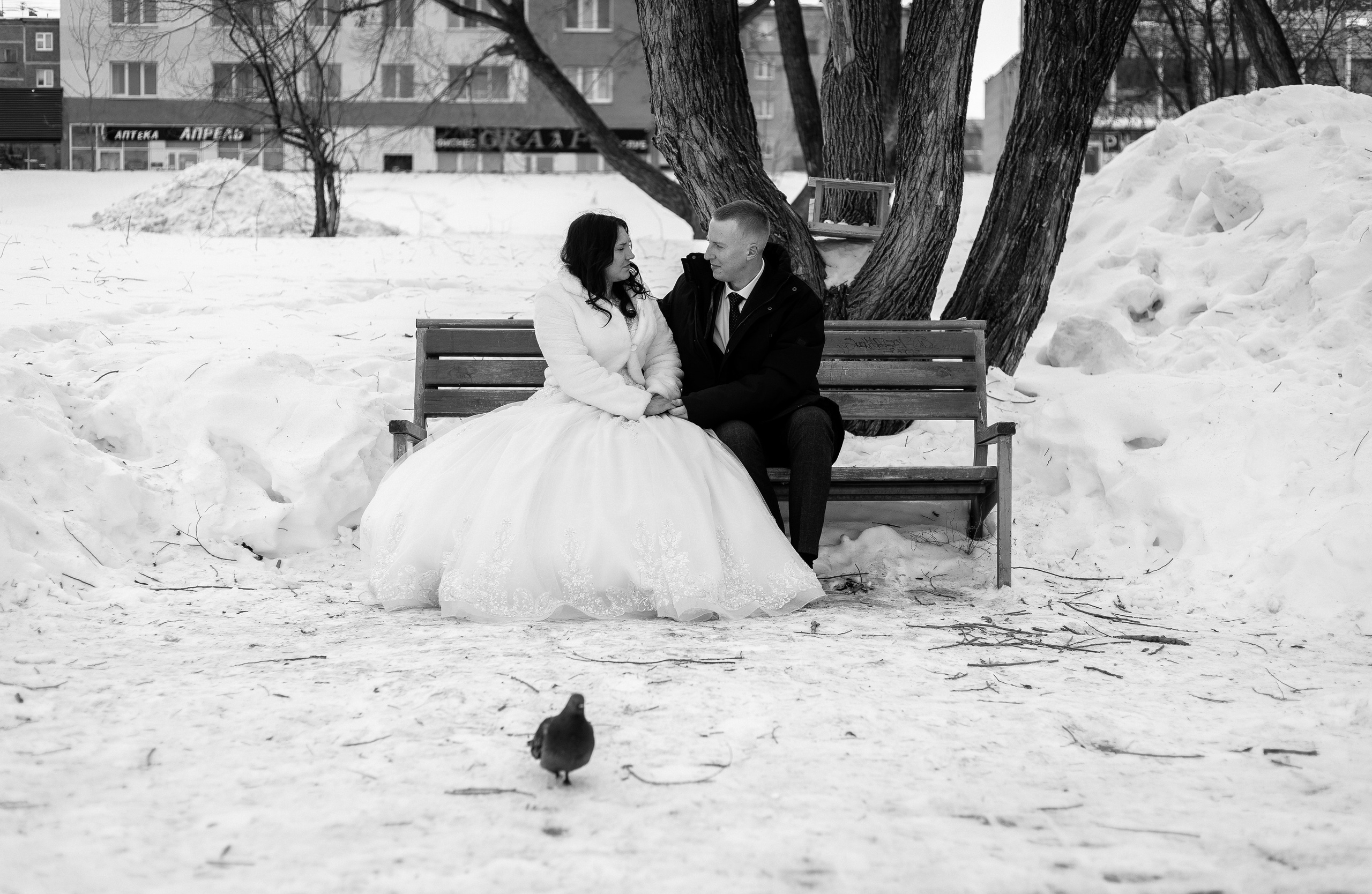 Артем и Наталья. Фотограф Татьяна Орлова