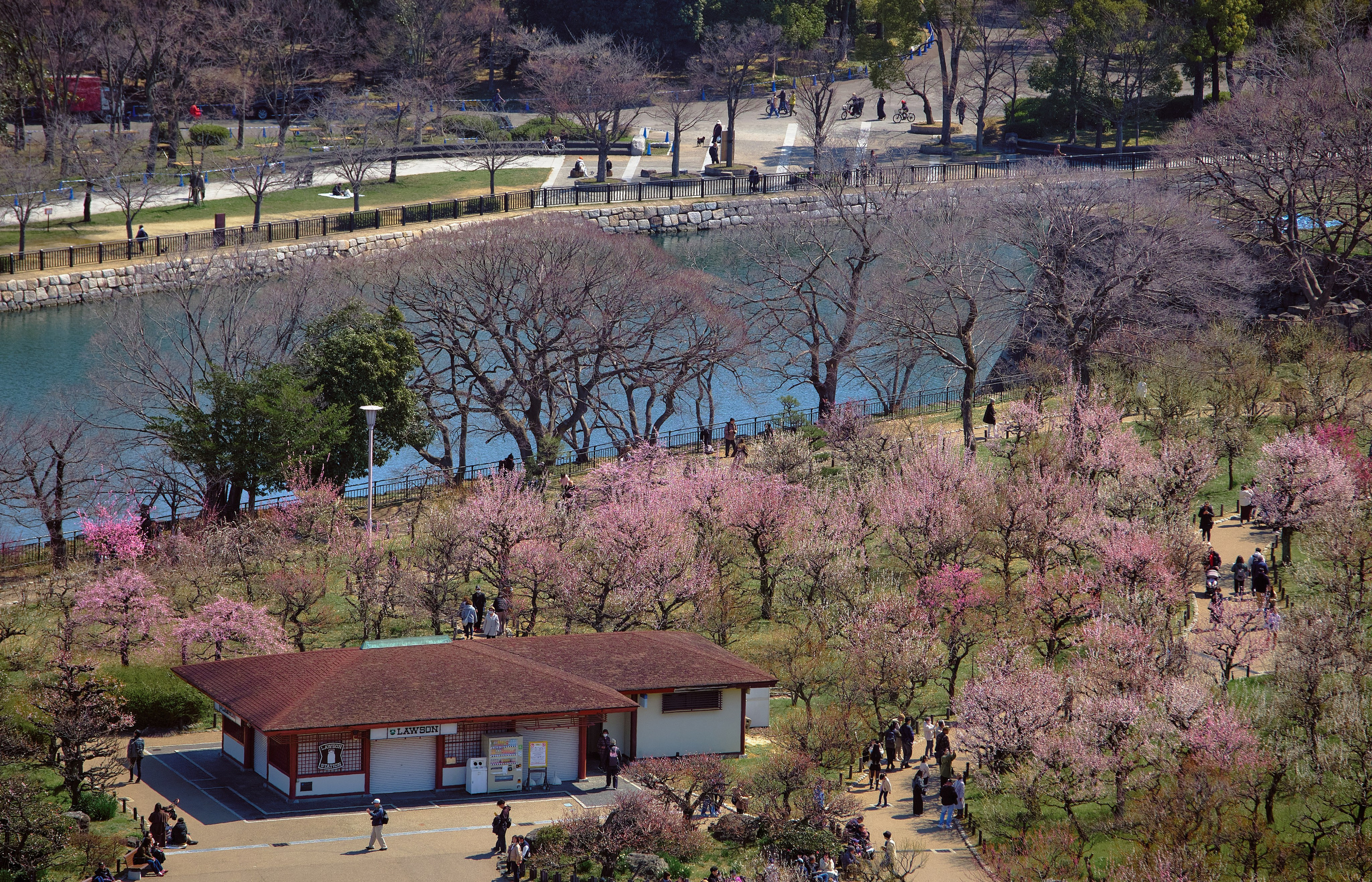 Japan / Osaka≫Kyoto≫Tokyo. Aleksandr Kobtsev