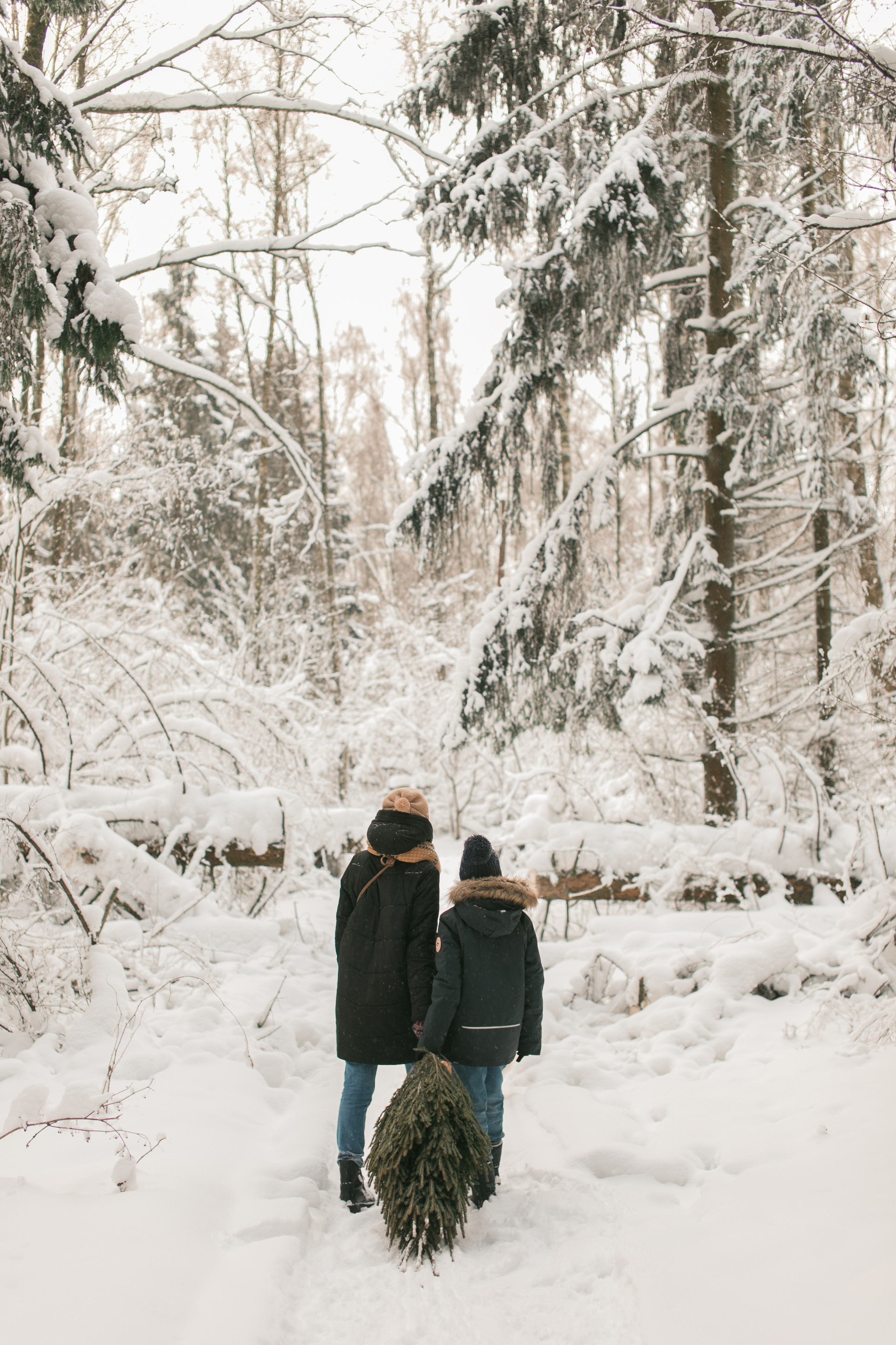 Семейные фотосессии на природе. Семейный фотограф в Москве Домодедово Московцева Алина