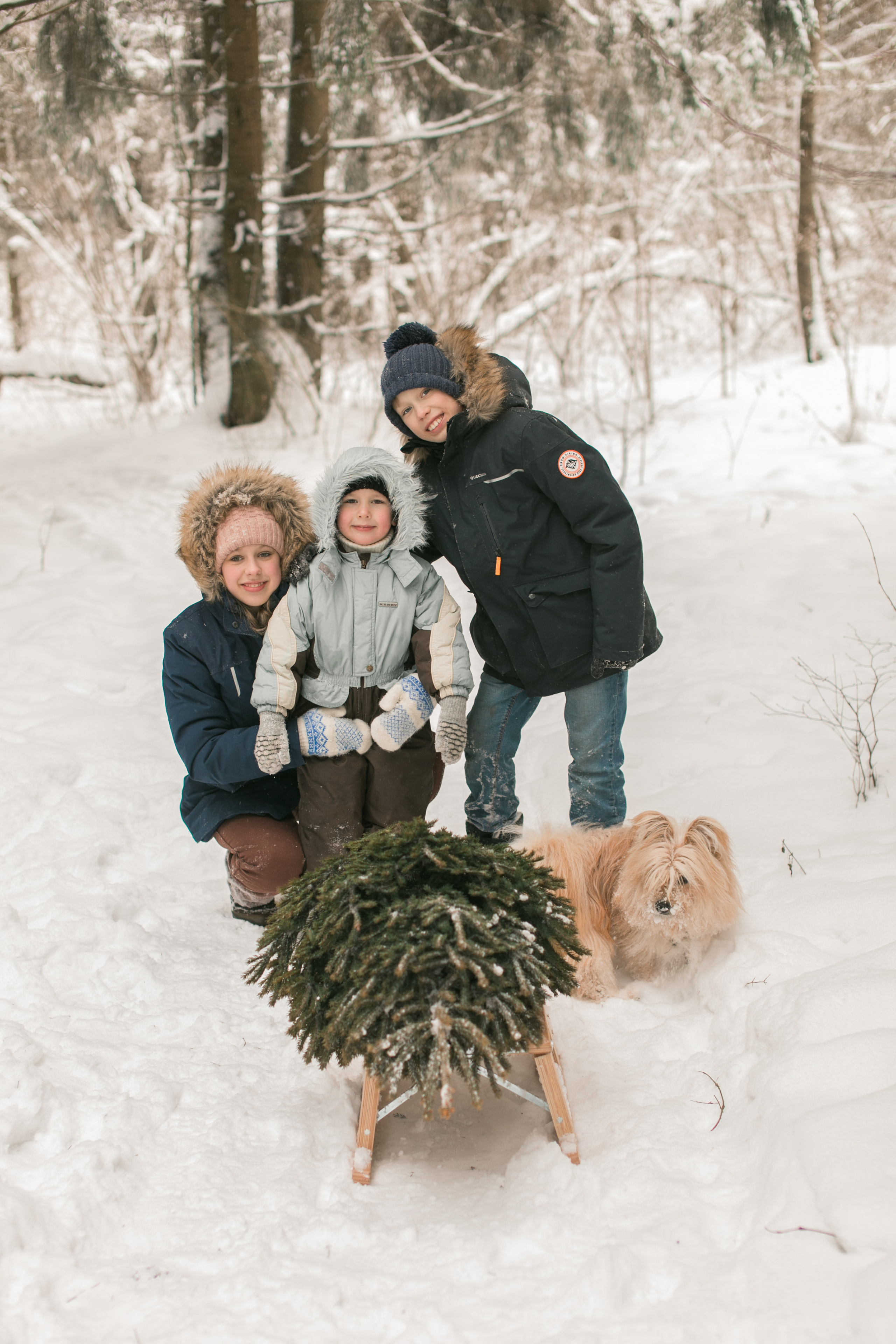 Семейные фотосессии на природе. Семейный фотограф в Москве Домодедово Московцева Алина