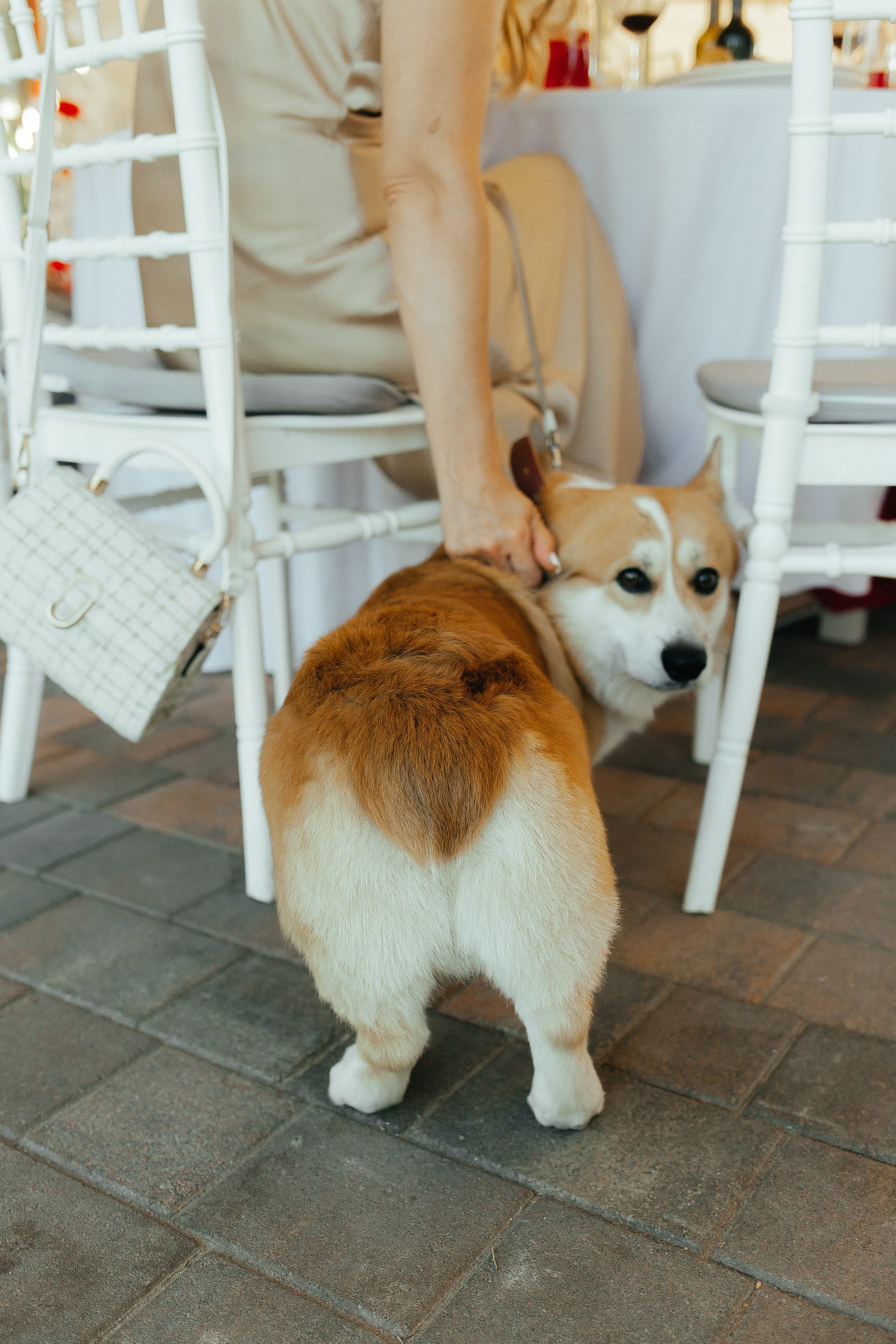 D & D. Фотограф Ольга Сапронова. Свадебный фотограф Ольга Сапронова