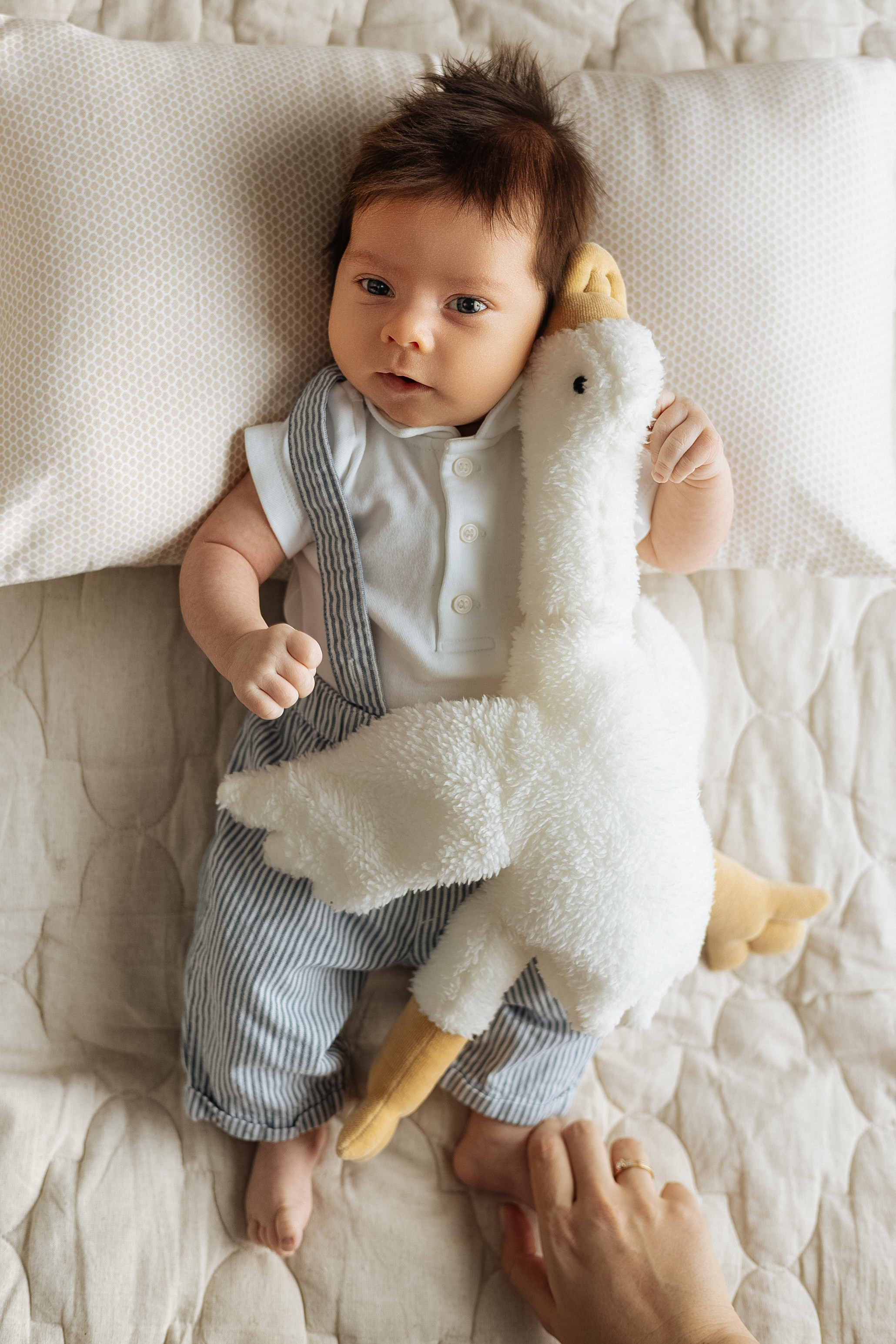 Демид. Фотограф новорожденных в Санкт-Петербурге Екатерина Иванова