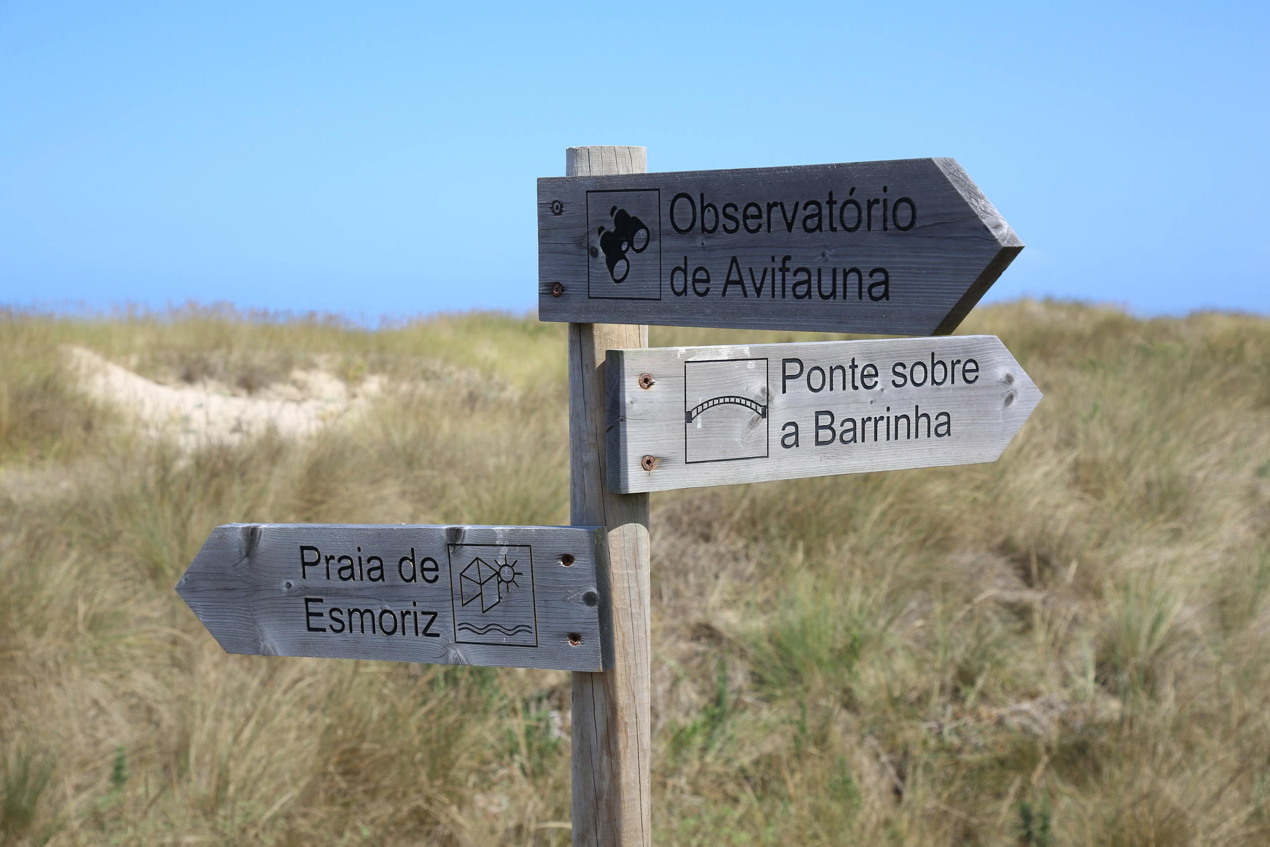 Esmoriz, Portugal. Andrey Filippov Photographer