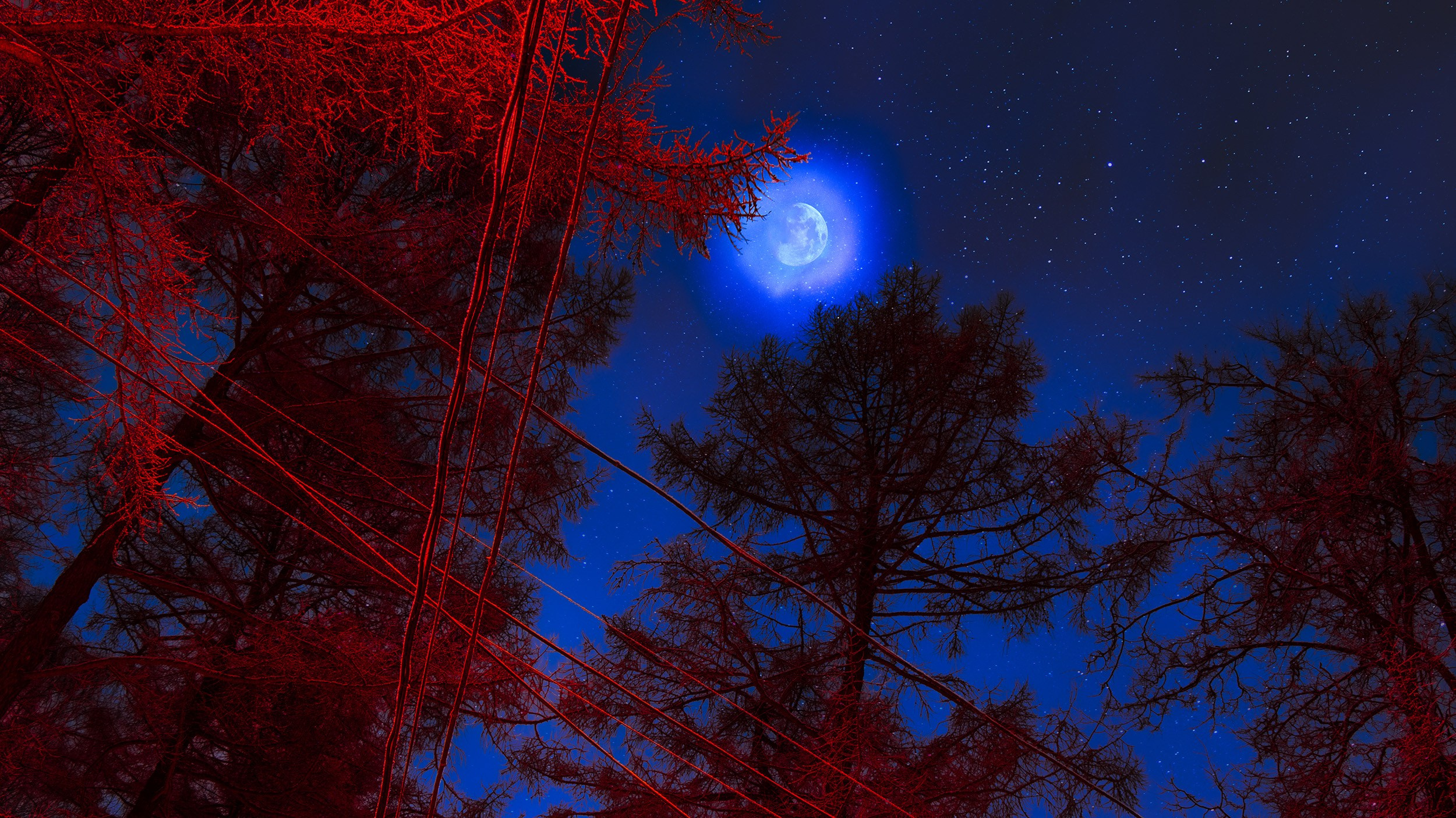 Попкова Виктория, фотограф, пейзаж, ночь, vphoto, звезды, небо, космос, фотокартины, природа, фотография, искустсство, сокольники