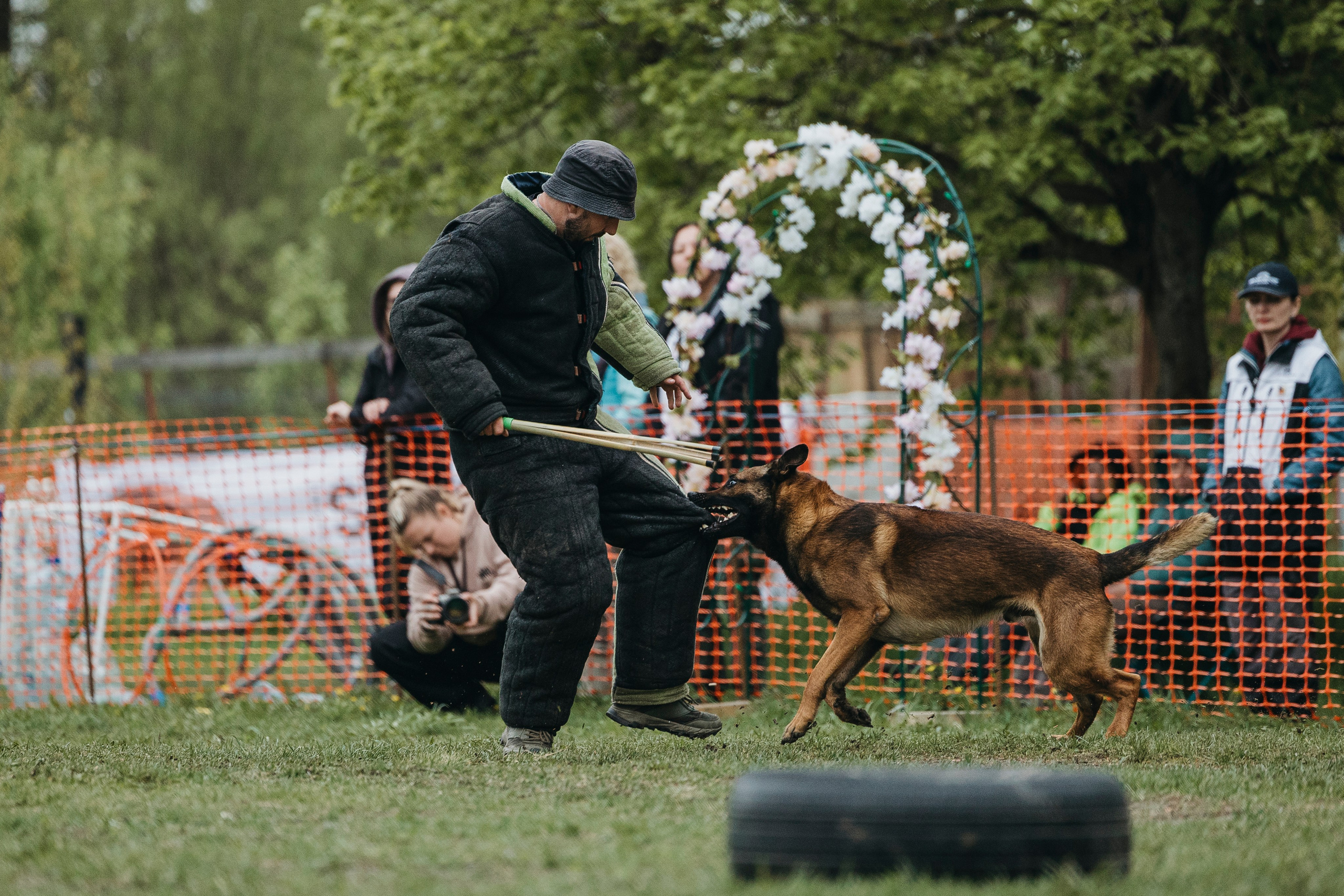 26.05.25 г. Пушкин квалификационные соревнования. Фотограф-анималист Анна Маринич