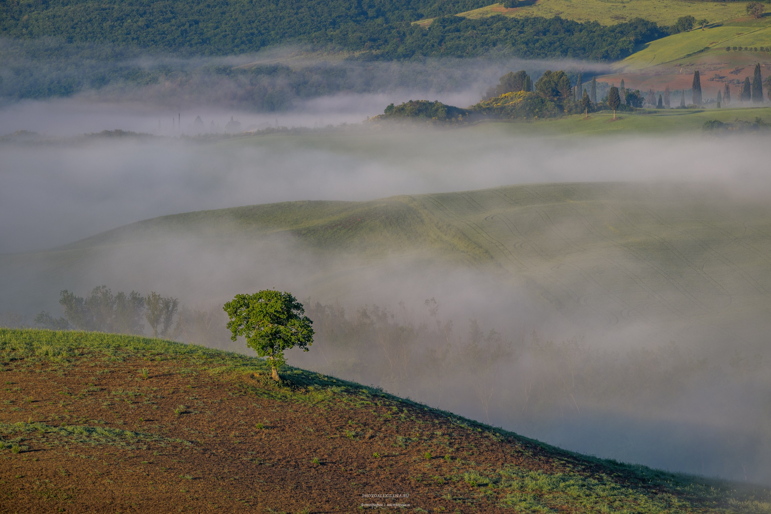 Волшебное утро в Тоскане. Авторские стильные фотокартины