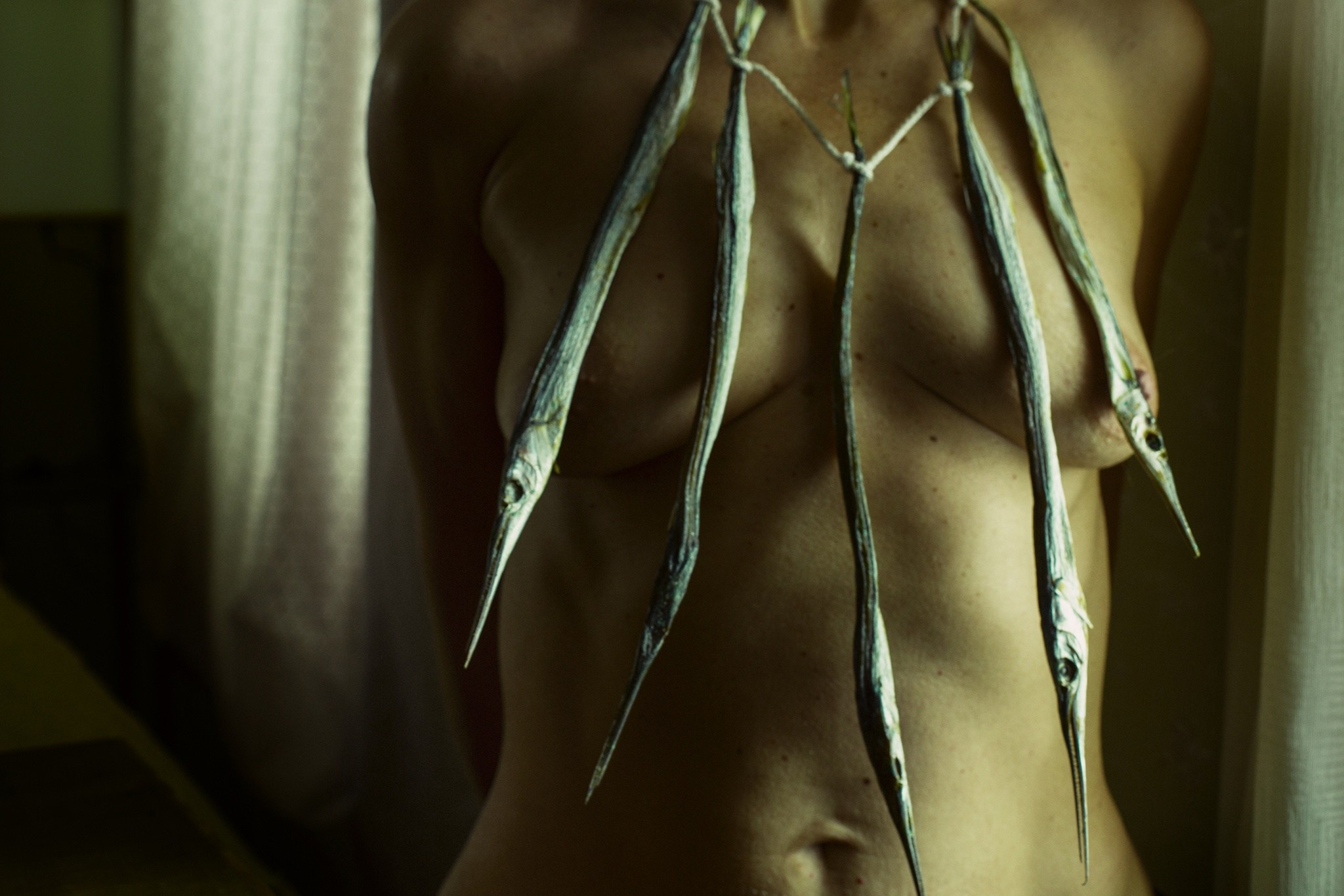 автор: Ольга Агеева