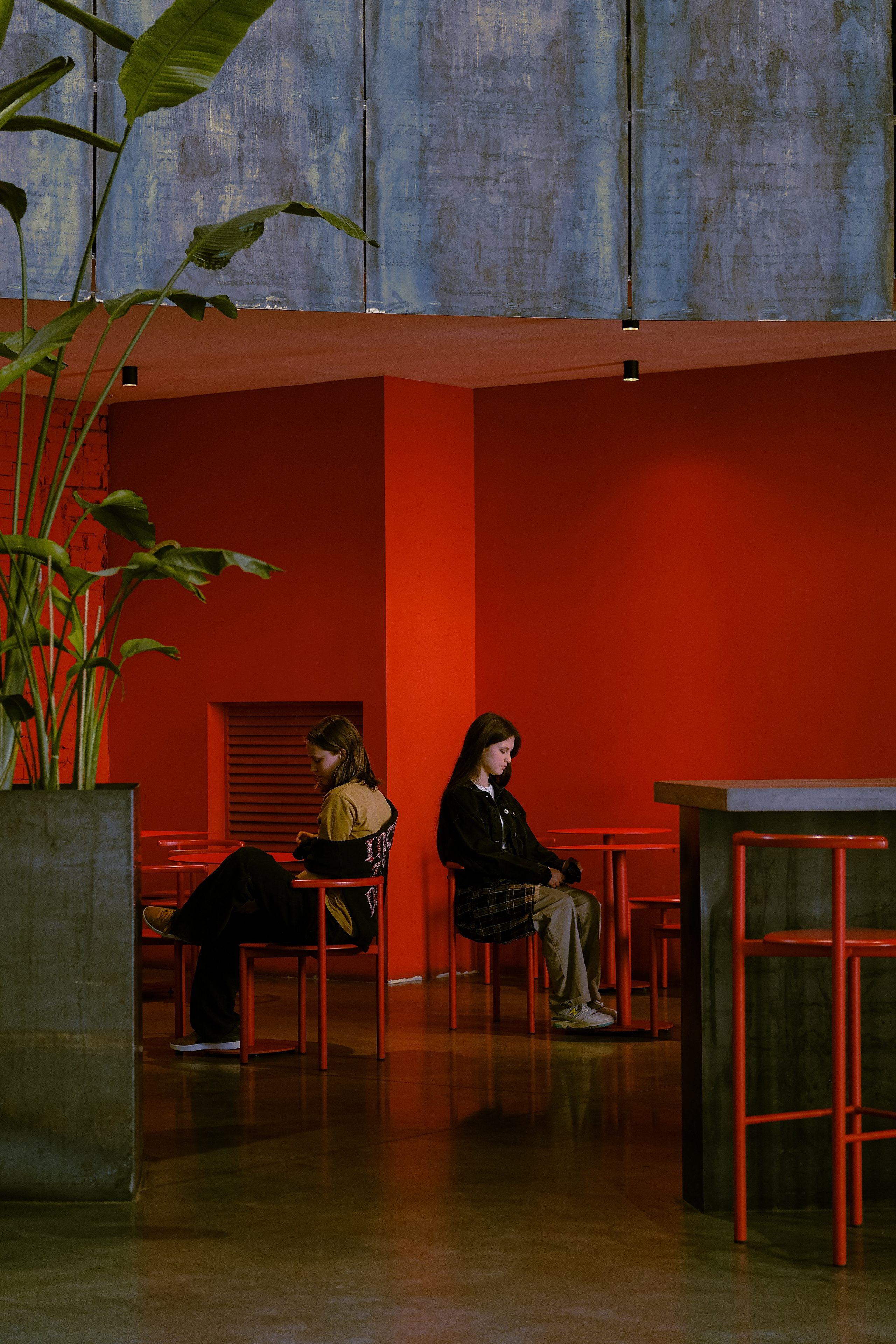 QSC 24. LIYALEE PHOTO