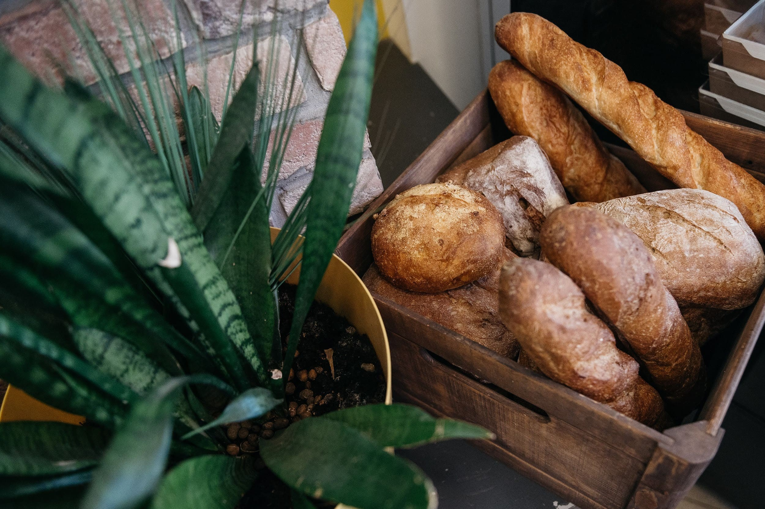 MARTINI. Владимир Дьяконов — Индустриальный и репортажной фотограф в России