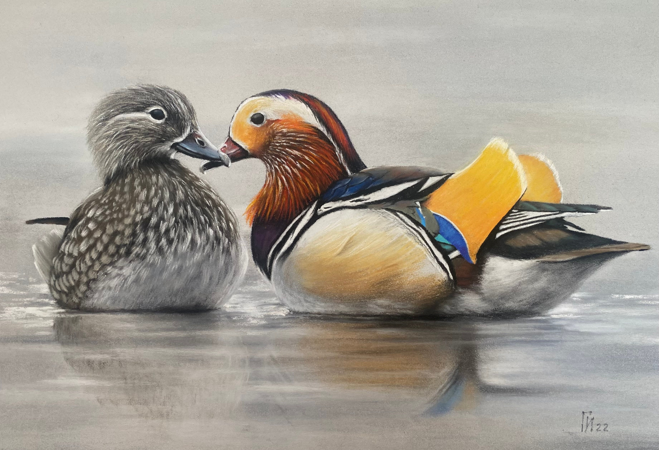 Утки-мандаринки. Пастель, 32х20 см. Работа по МК.
