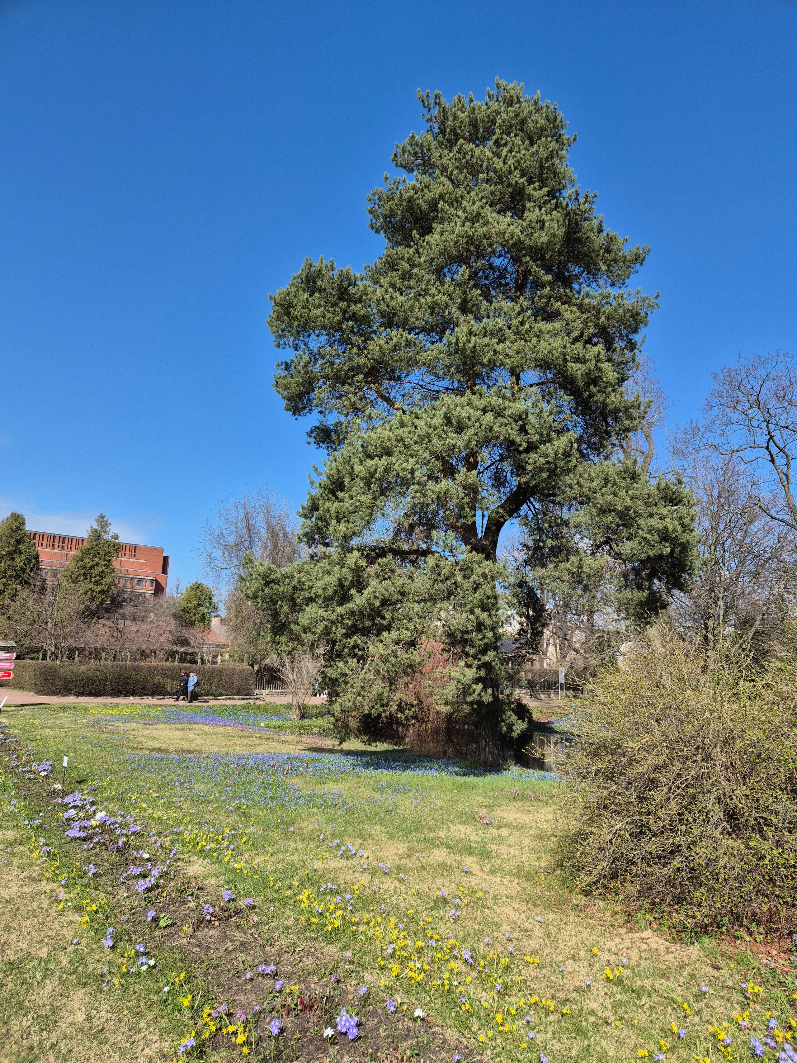 На улице синева в небе и под ногами