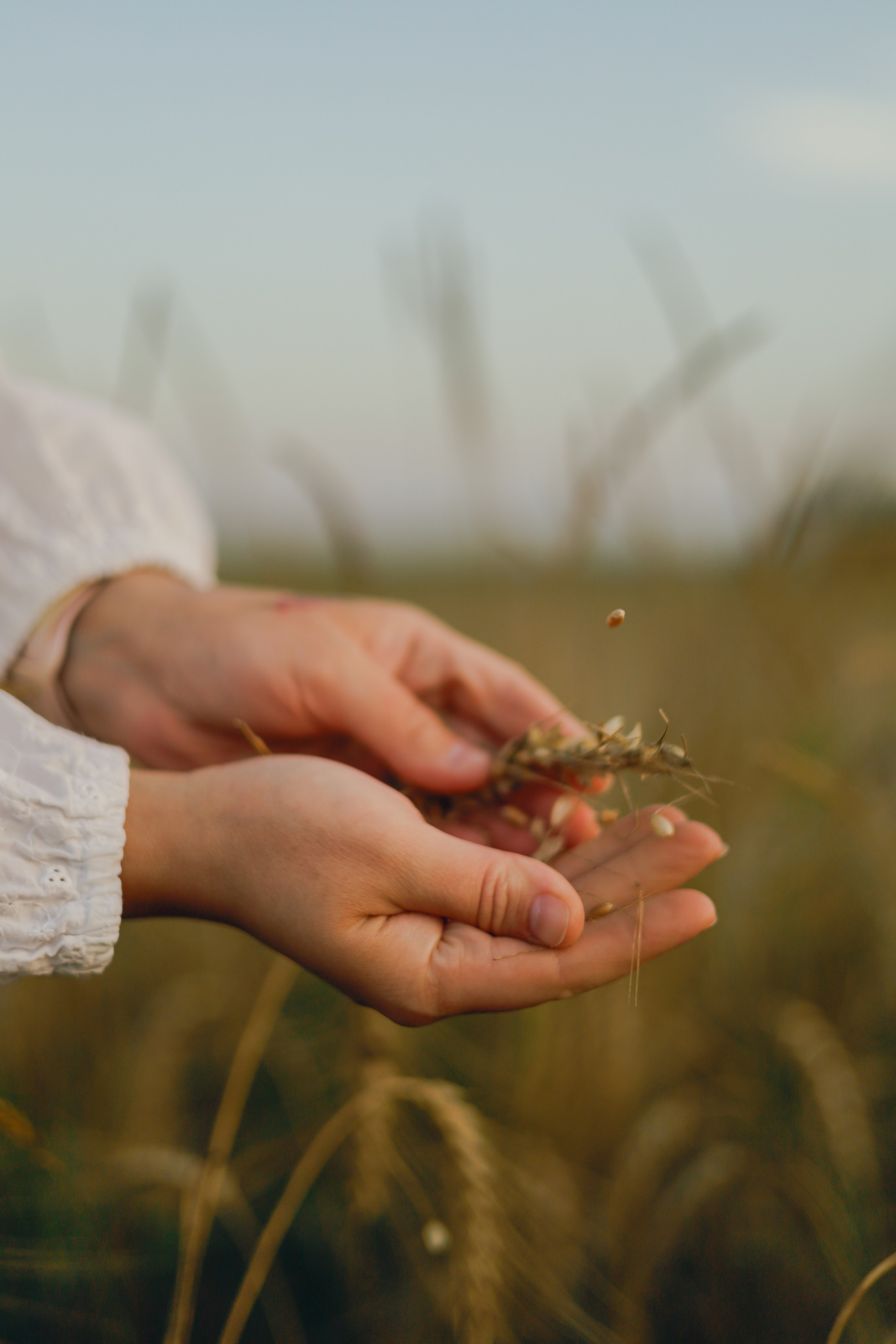 Лиза — хлебомама. Фотограф в Москве и области Титова Наталья