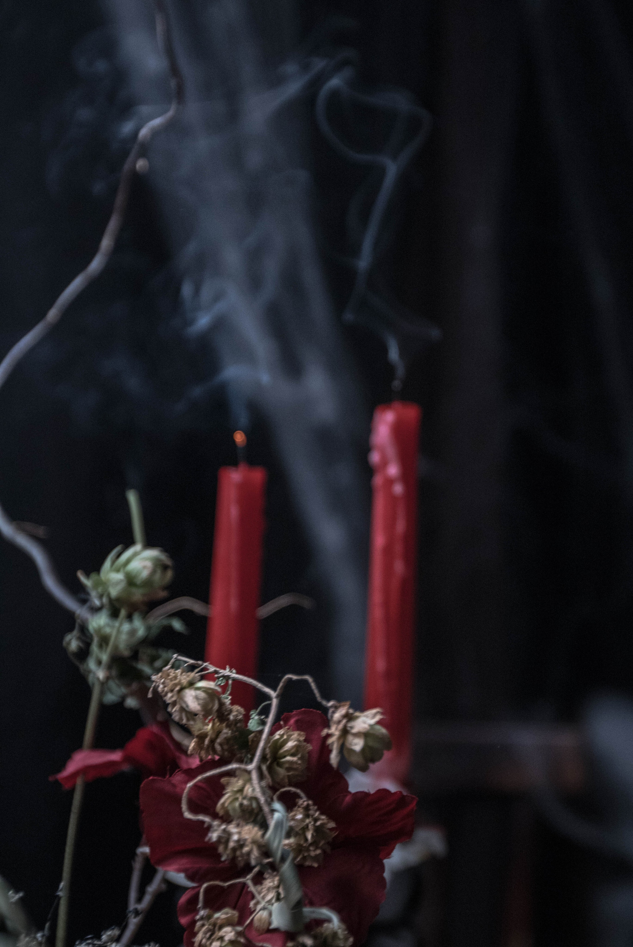 Workshop Zombie night