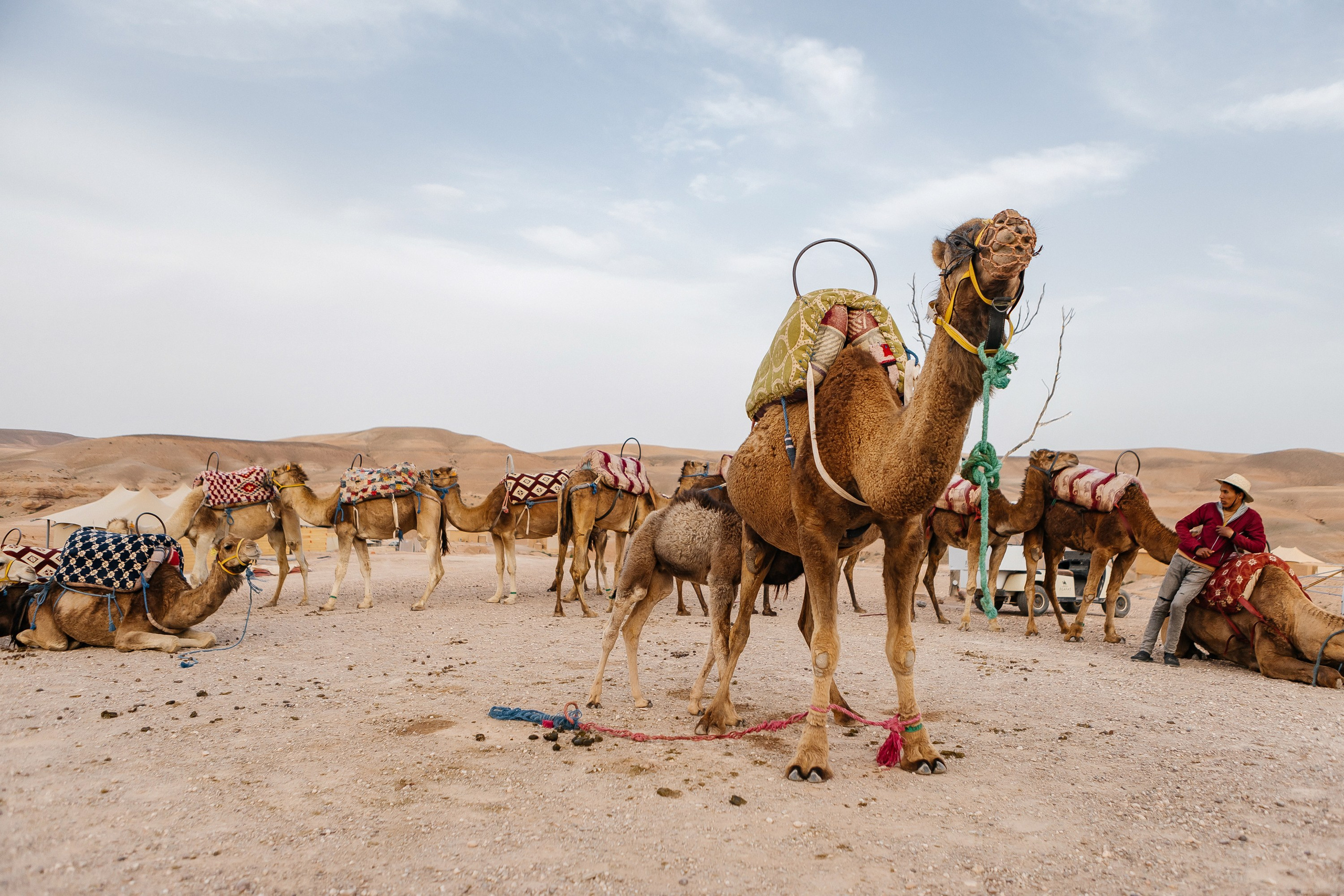 Марокко Альфа Банк. Фотограф в Москве Дмитрий Жарков